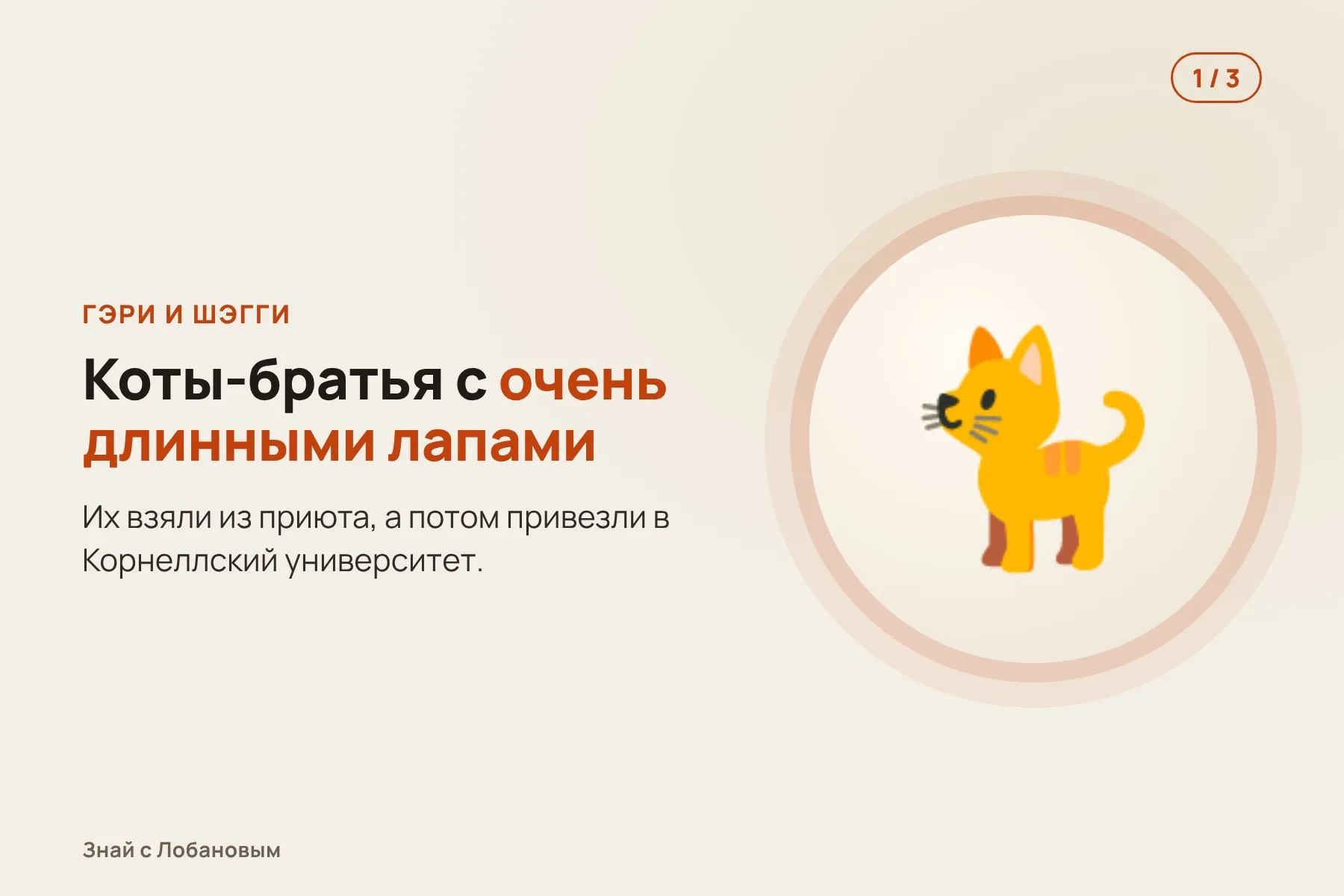1. Коты-братья из приюта с необычно длинными лапами. Иллюстрация: «Знай с Лобановым» по данным Scientific Reports, условно · 2. Обследование показывает нарушения в глазах и расширенную аорту. Иллюстрация: «Знай с Лобановым» по данным Scientific Reports, условно · 3. Генетический анализ: обе копии гена FBN1 изменены. Иллюстрация: «Знай с Лобановым» по данным Scientific Reports, условно — 1 из 3