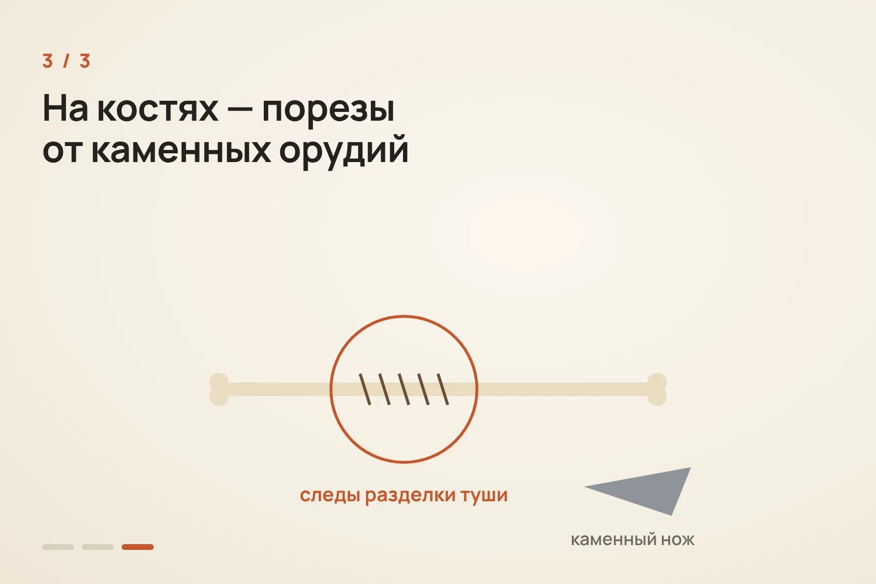 1. Летом и осенью 2026 года археологи расширяют раскоп больше чем на 150 квадратных метров · 2. Впервые со времён 1927 года находят крупные скопления костей мамонтов и длинные фрагменты бивней · 3. На костях видны порезы от каменных орудий — следы разделки туш. Кадры 1–2 — фотореалистичные ИИ-иллюстрации раскопок, не фотографии находок Брайтенбаха. Кадр 3 — исходная условная схема. — 3 из 3
