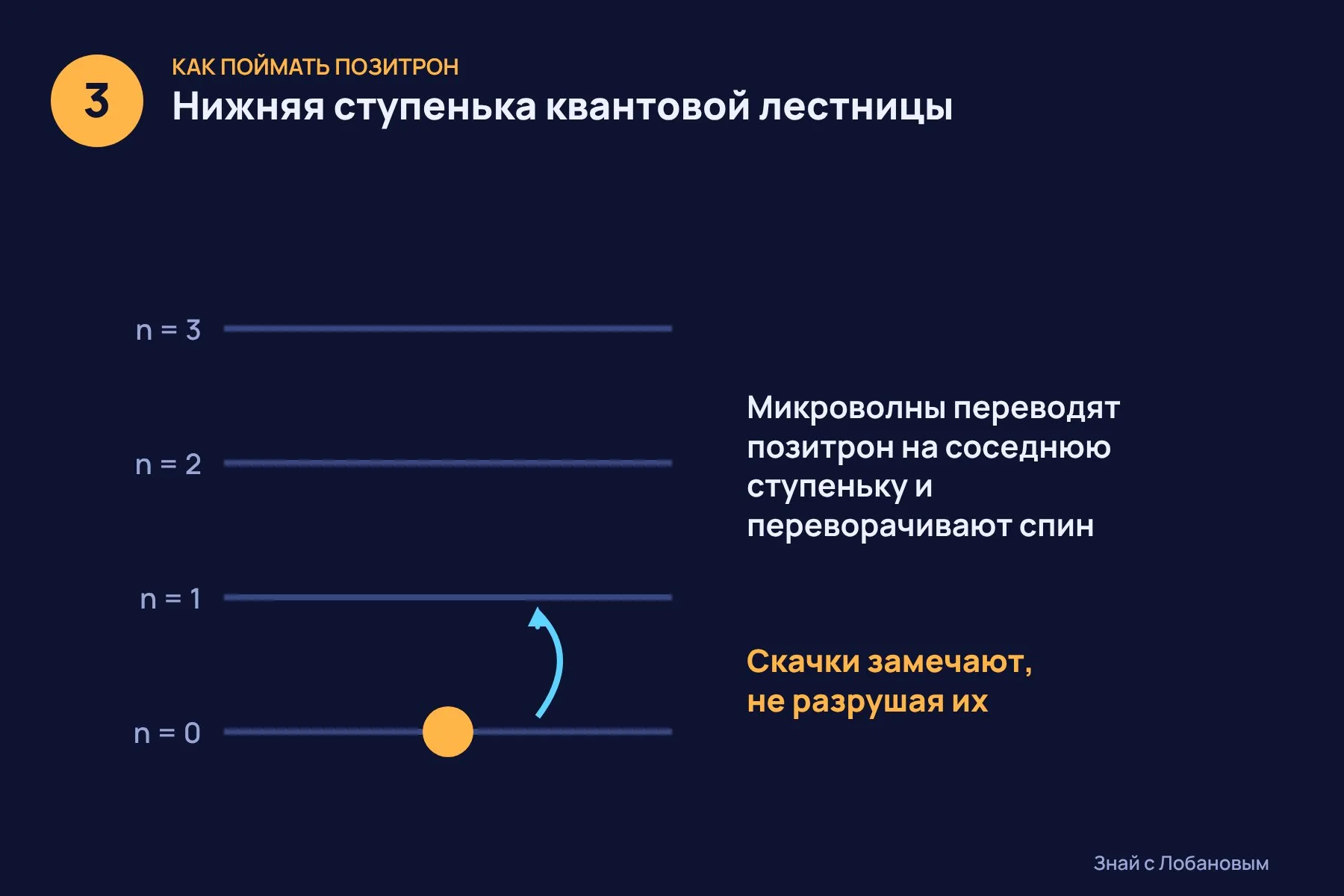 1. Радиоактивный натрий-22 выбрасывает позитроны с энергией до 546 килоэлектронвольт — слишком быстрыми, чтобы их поймать · 2. Позитрон тормозят и охлаждают, пока в ловушке при 0,3 кельвина не останется ровно одна частица. На это уходит 8–11 часов · 3. Позитрон оказывается в самом низком квантовом состоянии, а его квантовые скачки считывают, не разрушая их. Иллюстрация: «Знай с Лобановым» по данным Physical Review Letters, условно — 3 из 3