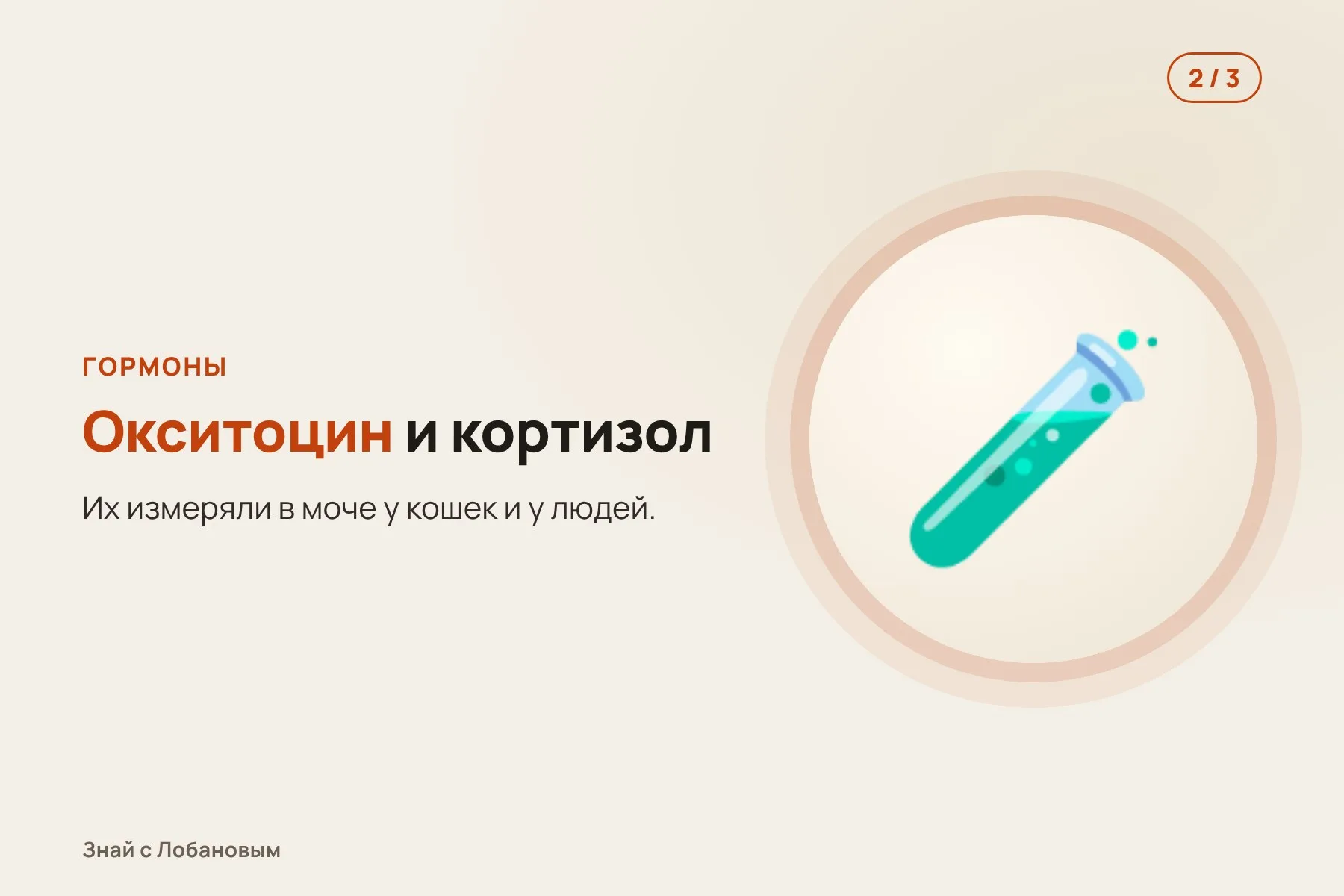 1. На ошейнике кошки — маячок, который показывает, когда она рядом с хозяином. Иллюстрация: «Знай с Лобановым» по данным iScience, условно · 2. Месяц учёные измеряют окситоцин и кортизол у кошек и хозяев. Иллюстрация: «Знай с Лобановым» по данным iScience, условно · 3. Чем больше окситоцина у кошки, тем меньше у хозяина плохого настроения. Иллюстрация: «Знай с Лобановым» по данным iScience, условно — 2 из 3