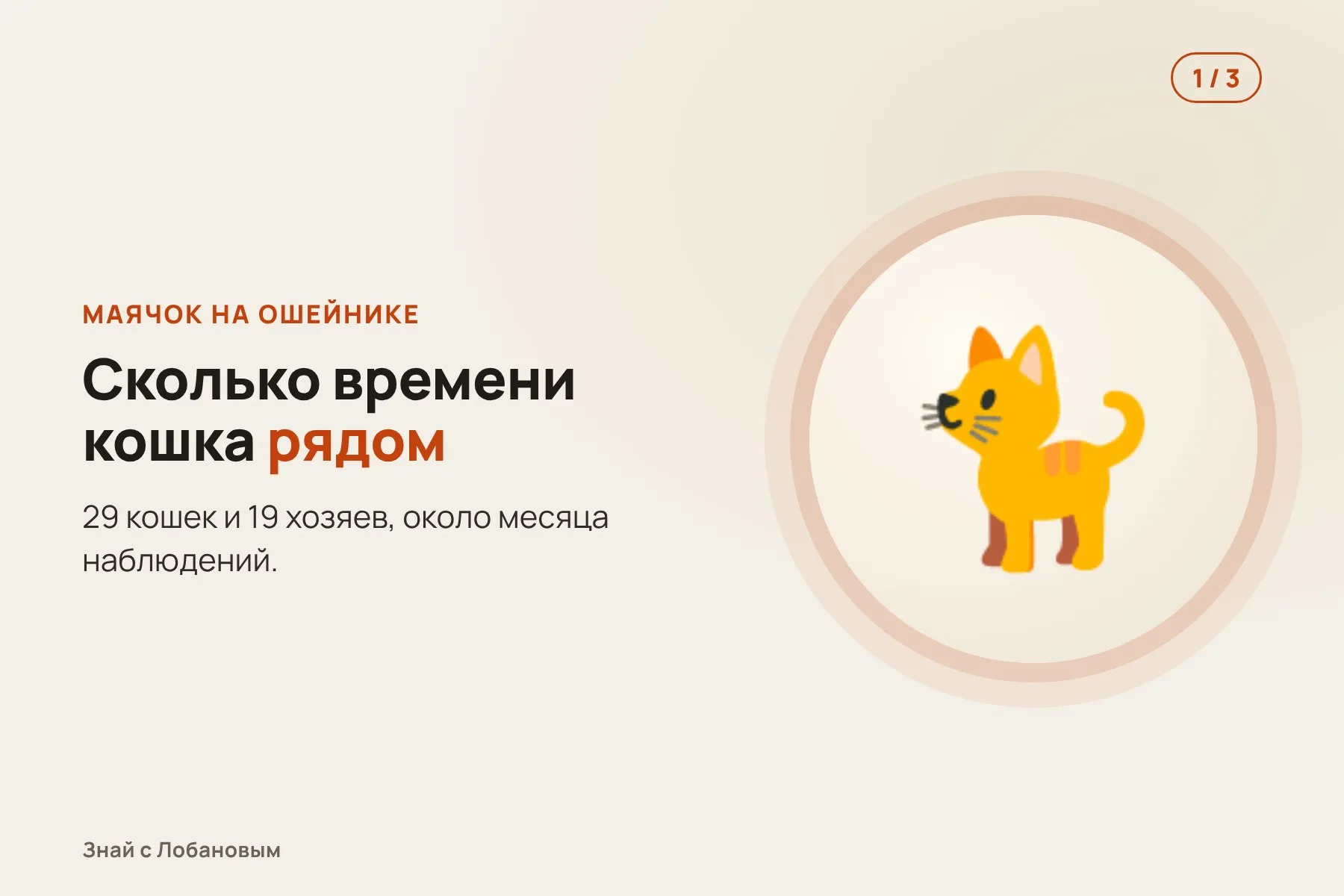 1. На ошейнике кошки — маячок, который показывает, когда она рядом с хозяином. Иллюстрация: «Знай с Лобановым» по данным iScience, условно · 2. Месяц учёные измеряют окситоцин и кортизол у кошек и хозяев. Иллюстрация: «Знай с Лобановым» по данным iScience, условно · 3. Чем больше окситоцина у кошки, тем меньше у хозяина плохого настроения. Иллюстрация: «Знай с Лобановым» по данным iScience, условно — 1 из 3