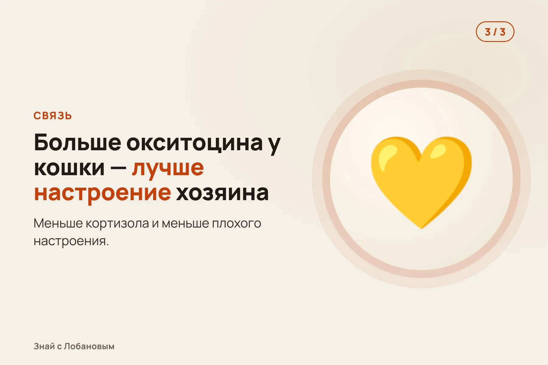 1. На ошейнике кошки — маячок, который показывает, когда она рядом с хозяином. Иллюстрация: «Знай с Лобановым» по данным iScience, условно · 2. Месяц учёные измеряют окситоцин и кортизол у кошек и хозяев. Иллюстрация: «Знай с Лобановым» по данным iScience, условно · 3. Чем больше окситоцина у кошки, тем меньше у хозяина плохого настроения. Иллюстрация: «Знай с Лобановым» по данным iScience, условно — 3 из 3