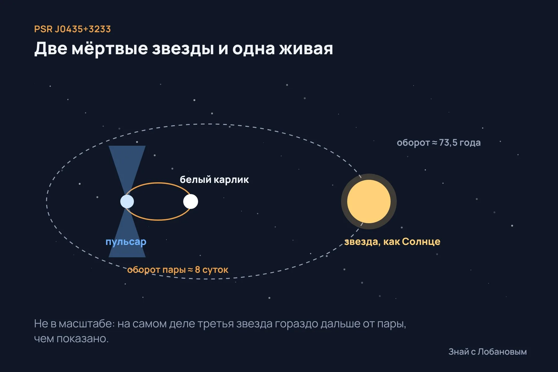 Устройство системы PSR J0435+3233: тесная пара из пульсара и белого карлика (оборот около 8 суток) и далёкая звезда, похожая на Солнце (оборот около 73,5 года). Схема: «Знай с Лобановым» по данным The Astrophysical Journal Letters, не в масштабе