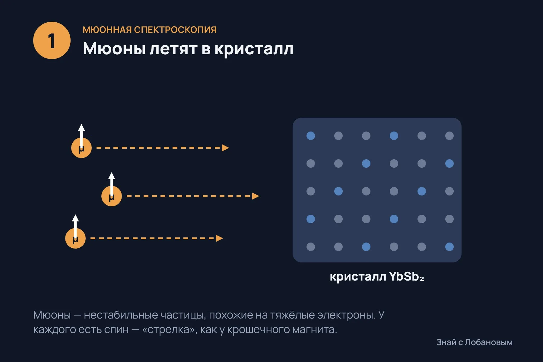 1. В охлаждённый кристалл YbSb₂ «вбрасывают» мюоны — нестабильные частицы с собственным спином · 2. Если внутри есть магнитное поле, спин мюона начинает вращаться · 3. Ниже температуры перехода в образце появились крошечные поля без всякого внешнего магнита. Схема: «Знай с Лобановым» по данным Physical Review Letters, условно — 1 из 3