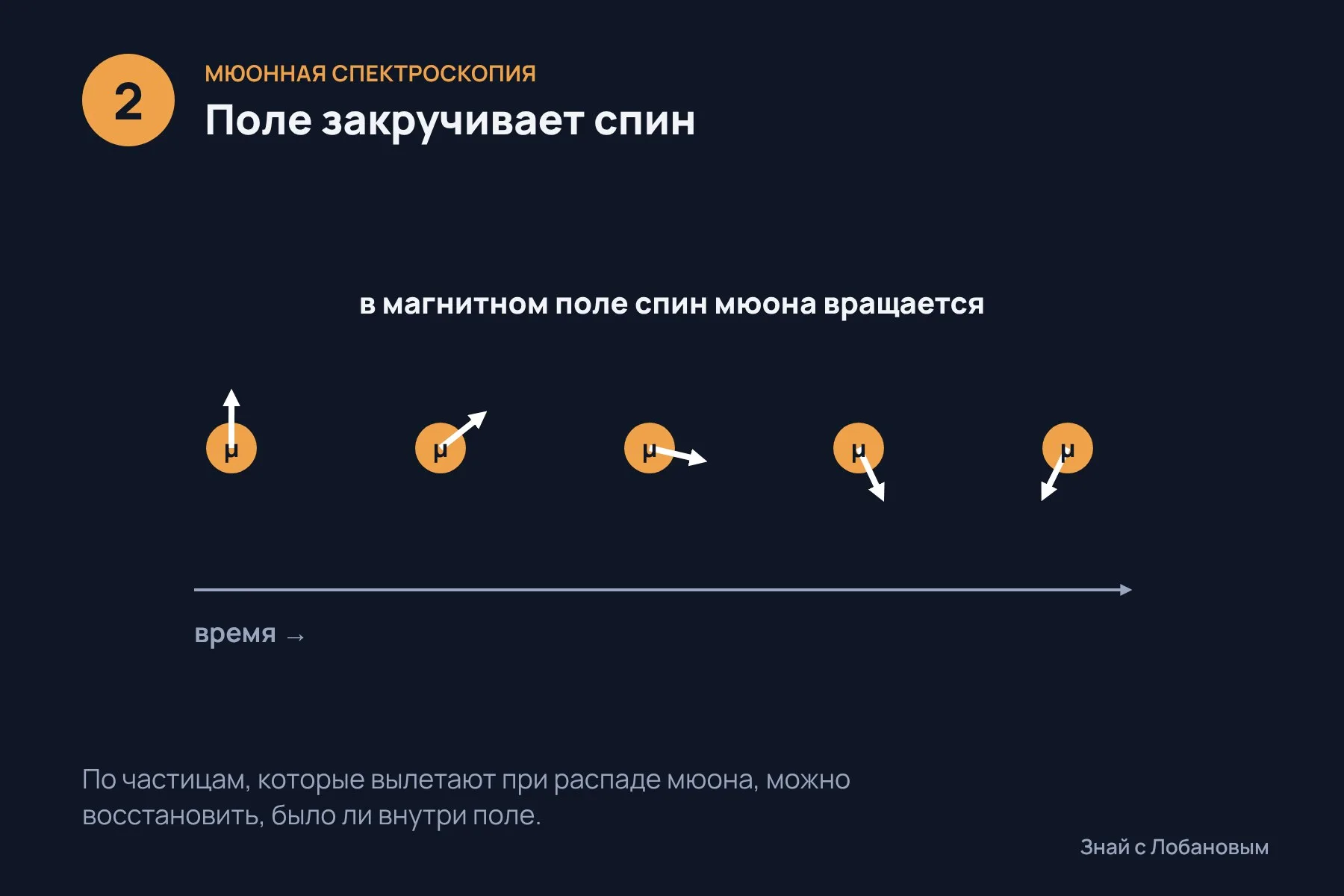 1. В охлаждённый кристалл YbSb₂ «вбрасывают» мюоны — нестабильные частицы с собственным спином · 2. Если внутри есть магнитное поле, спин мюона начинает вращаться · 3. Ниже температуры перехода в образце появились крошечные поля без всякого внешнего магнита. Схема: «Знай с Лобановым» по данным Physical Review Letters, условно — 2 из 3