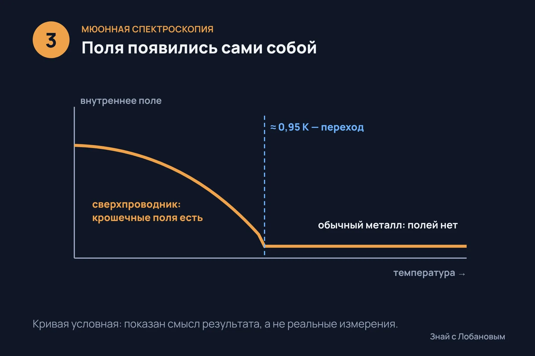1. В охлаждённый кристалл YbSb₂ «вбрасывают» мюоны — нестабильные частицы с собственным спином · 2. Если внутри есть магнитное поле, спин мюона начинает вращаться · 3. Ниже температуры перехода в образце появились крошечные поля без всякого внешнего магнита. Схема: «Знай с Лобановым» по данным Physical Review Letters, условно — 3 из 3