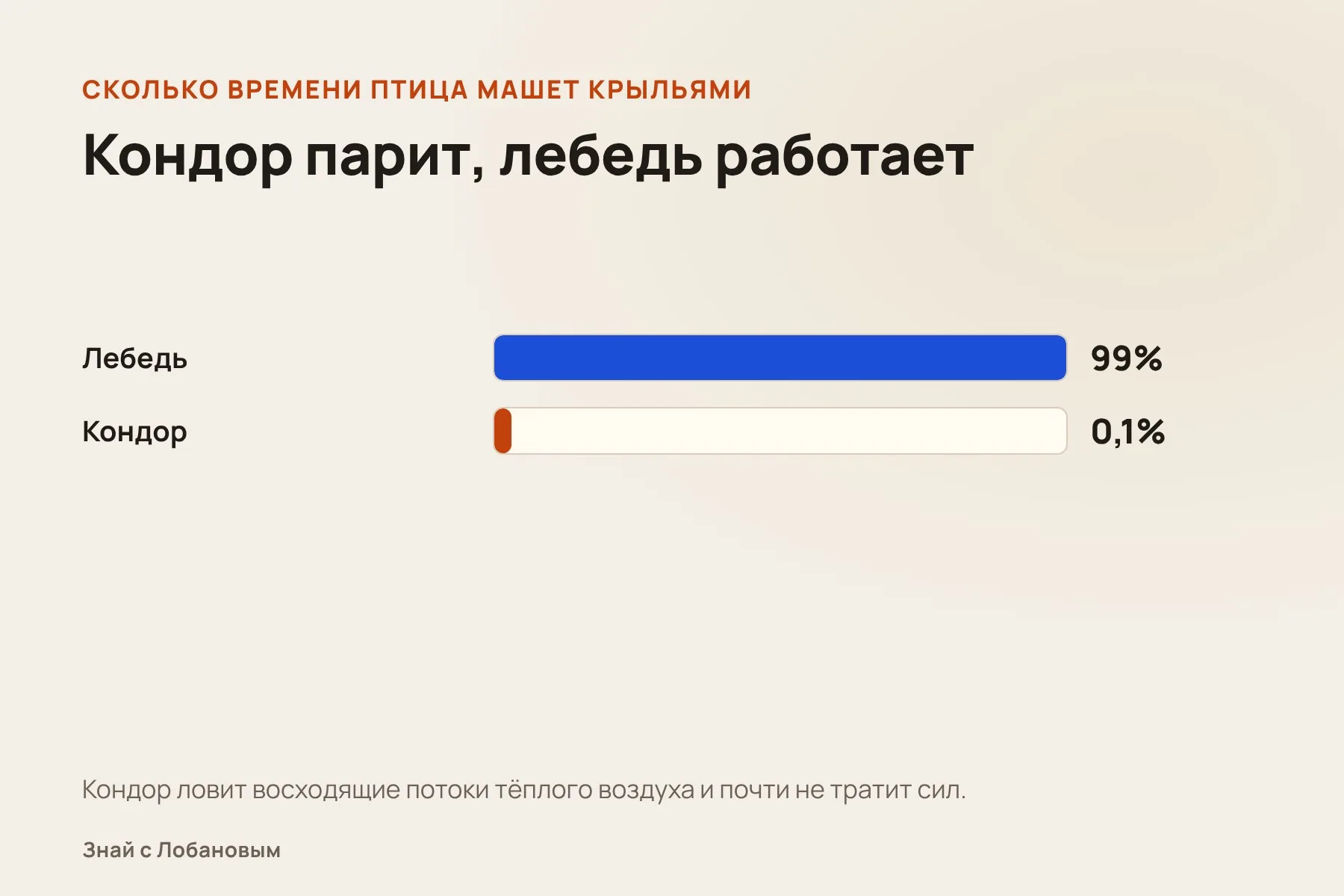 Доля времени, когда птица машет крыльями: кондор и лебедь. Схема: «Знай с Лобановым» по данным Science