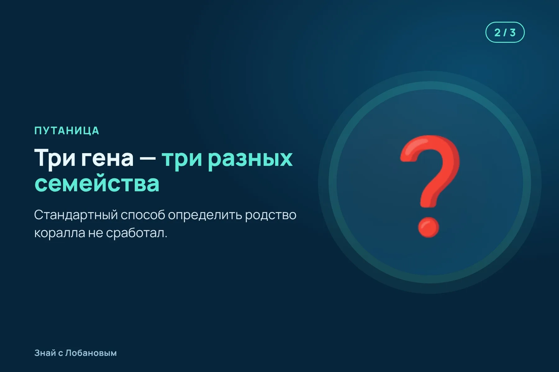 1. Подводный робот находит на подводной горе жёлтый ветвистый коралл. Иллюстрация: «Знай с Лобановым» по данным ZooKeys, условно · 2. Три стандартных гена указывают на три разных семейства. Иллюстрация: «Знай с Лобановым» по данным ZooKeys, условно · 3. Анализ сотен генов показывает: это отдельная ветвь, новое семейство. Иллюстрация: «Знай с Лобановым» по данным ZooKeys, условно — 2 из 3