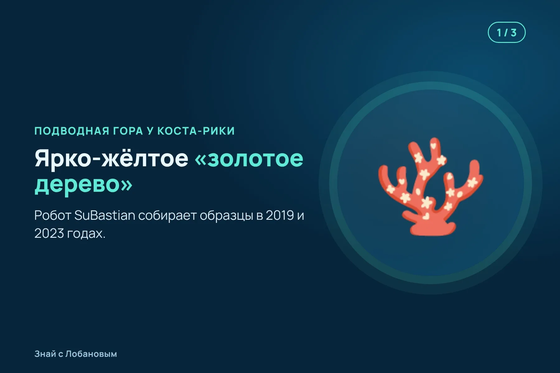 1. Подводный робот находит на подводной горе жёлтый ветвистый коралл. Иллюстрация: «Знай с Лобановым» по данным ZooKeys, условно · 2. Три стандартных гена указывают на три разных семейства. Иллюстрация: «Знай с Лобановым» по данным ZooKeys, условно · 3. Анализ сотен генов показывает: это отдельная ветвь, новое семейство. Иллюстрация: «Знай с Лобановым» по данным ZooKeys, условно — 1 из 3