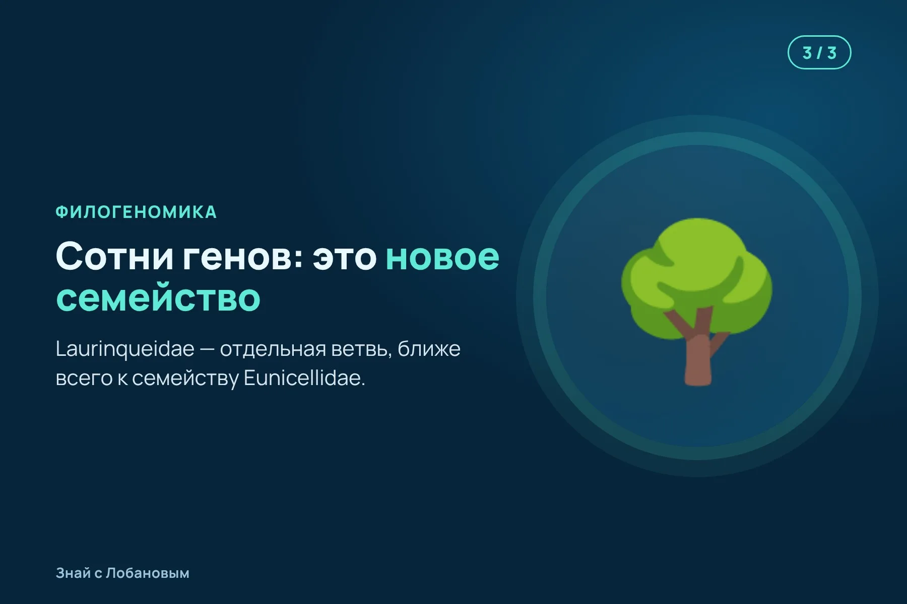 1. Подводный робот находит на подводной горе жёлтый ветвистый коралл. Иллюстрация: «Знай с Лобановым» по данным ZooKeys, условно · 2. Три стандартных гена указывают на три разных семейства. Иллюстрация: «Знай с Лобановым» по данным ZooKeys, условно · 3. Анализ сотен генов показывает: это отдельная ветвь, новое семейство. Иллюстрация: «Знай с Лобановым» по данным ZooKeys, условно — 3 из 3