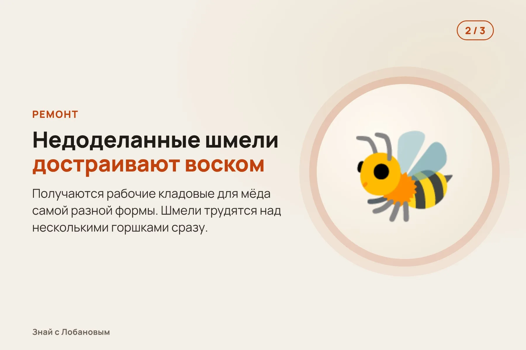 1. Шмели получают пластиковые медовые горшочки, напечатанные на 3D-принтере. Иллюстрация: «Знай с Лобановым» по данным Current Biology, условно · 2. Незаконченные конструкции шмели достраивают воском до рабочих горшков. Иллюстрация: «Знай с Лобановым» по данным Current Biology, условно · 3. Шмели разбирают воск и лепят его заново, переделывая форму по-своему. Иллюстрация: «Знай с Лобановым» по данным Current Biology, условно — 2 из 3