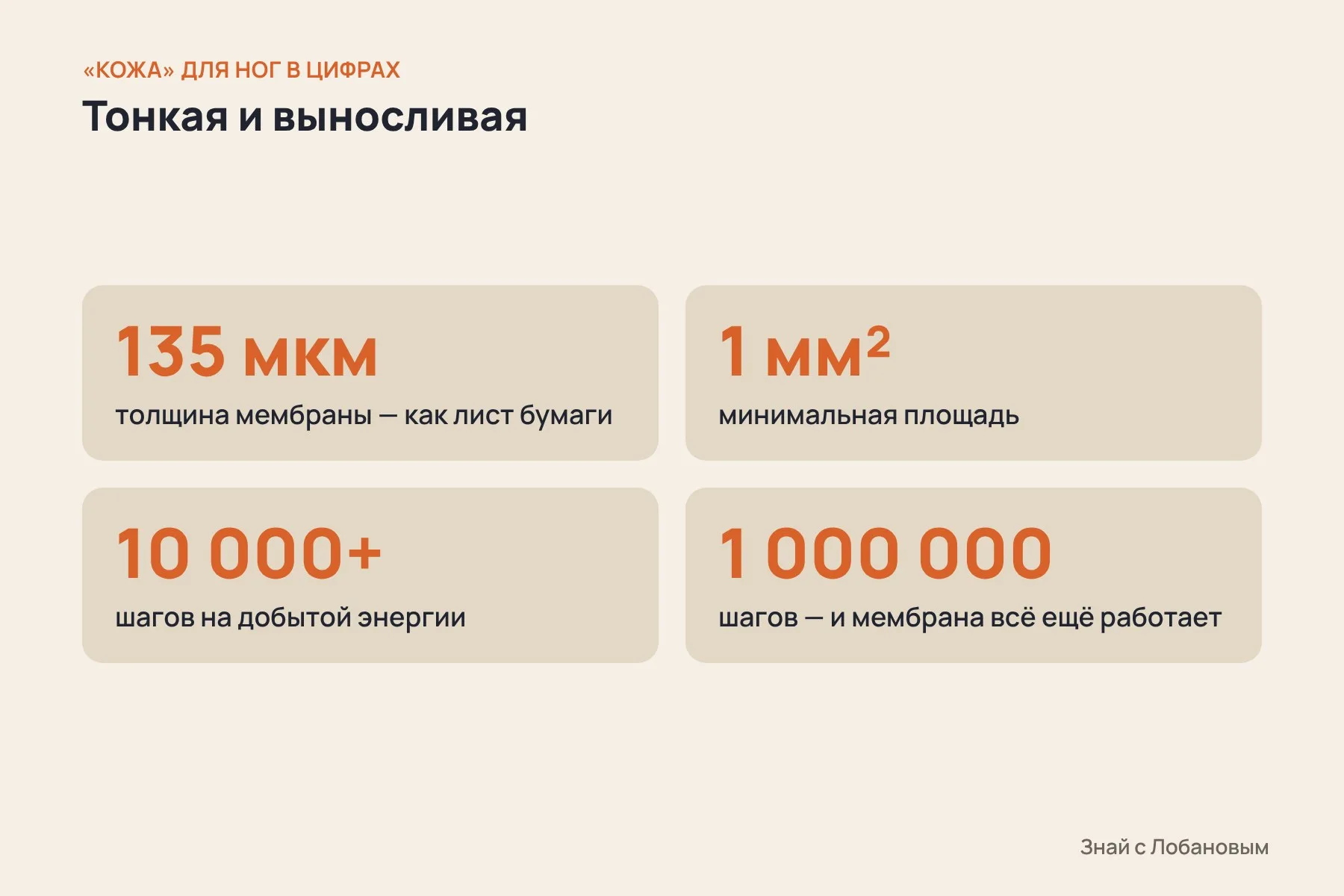 «Кожа» для ног робота в цифрах: толщина от 135 микрометров, площадь от 1 мм², питание на 10 тысяч шагов, стабильность после миллиона шагов. Схема: «Знай с Лобановым» по данным National Science Review