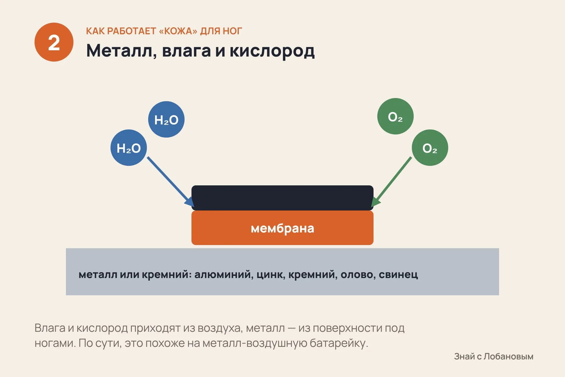 1. На стопе робота — тонкая мембрана из полимера, который удерживает влагу · 2. При каждом шаге в реакцию вступают металл поверхности, влага и кислород воздуха · 3. Химическая энергия превращается в ток, который питает робота. Кадр 1 — фотореалистичная ИИ-иллюстрация условной полимерной стопы робота; кадры 2–3 — исходные схемы по данным National Science Review. — 2 из 3