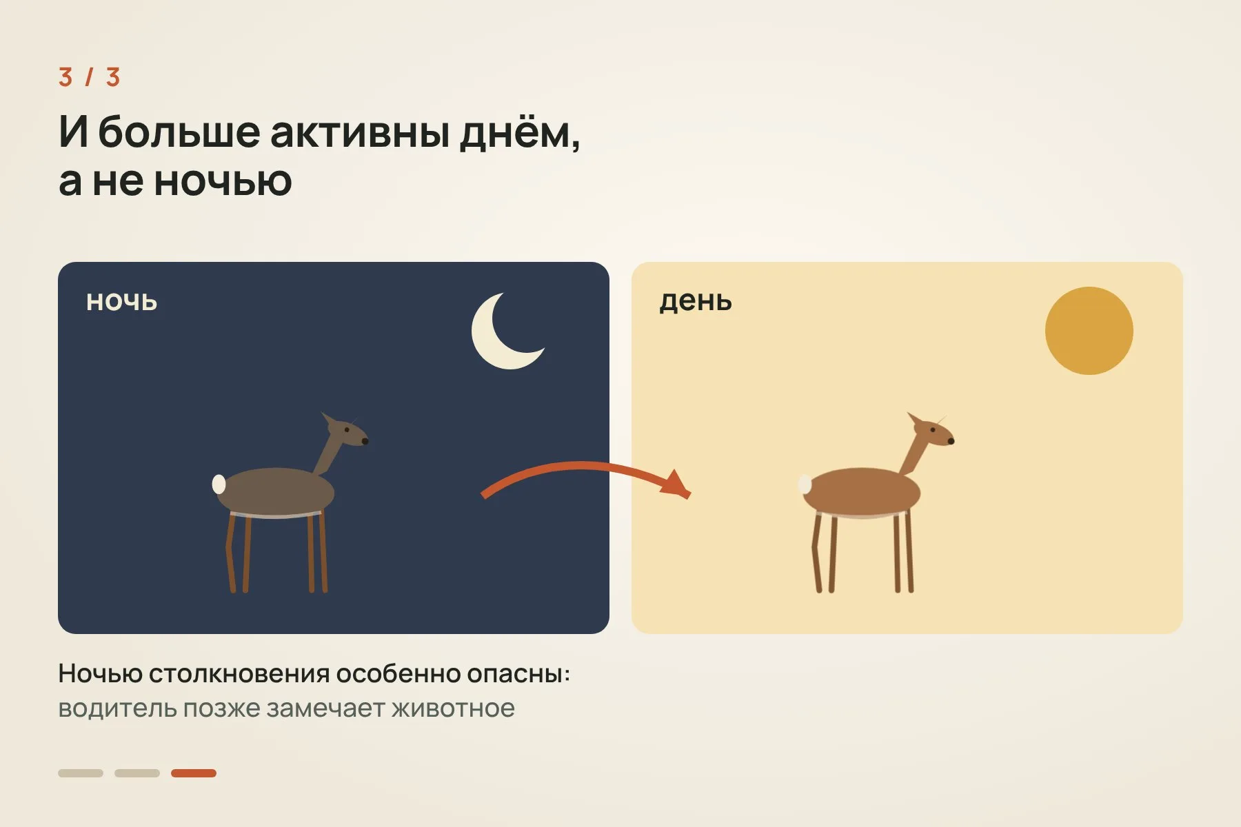 1. Учёные сопоставили данные фотоловушек, GPS-ошейников и карту мест, где машины сбивали животных · 2. Там, где пум много, вероятность встретить оленя на участках с густой сетью дорог была на 15% ниже (схема, не в масштабе) · 3. Кроме того, олени сдвигали активность на светлое время суток, а ночью столкновения особенно опасны. Схема: «Знай с Лобановым» по данным Current Biology — 3 из 3
