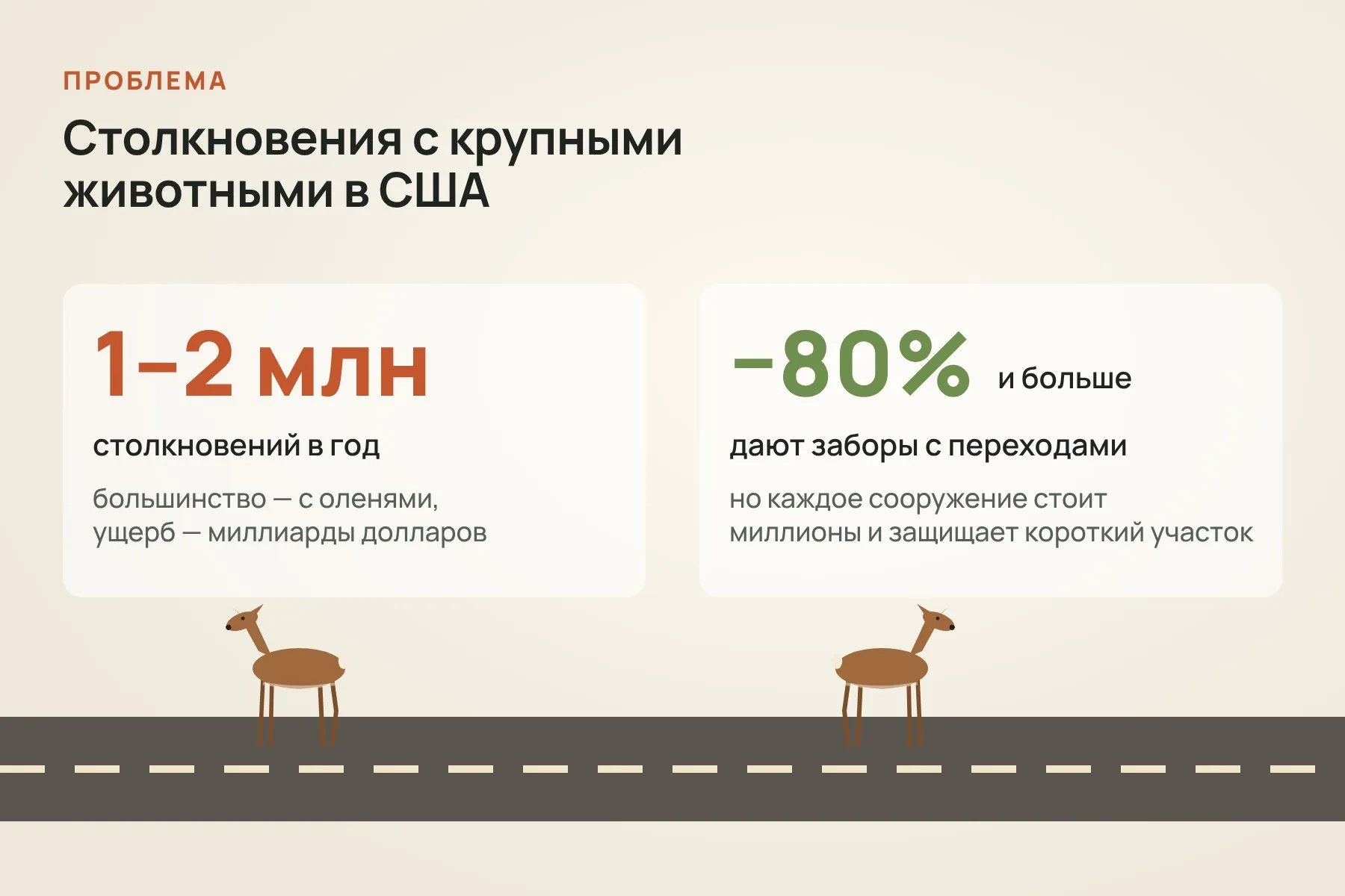 По федеральным оценкам, на дорогах США ежегодно происходит от одного до двух миллионов столкновений с крупными животными. Заборы со специальными переходами сокращают их на 80% и больше, но стоят миллионы. Схема: «Знай с Лобановым» по данным Popular Science и Earth.com