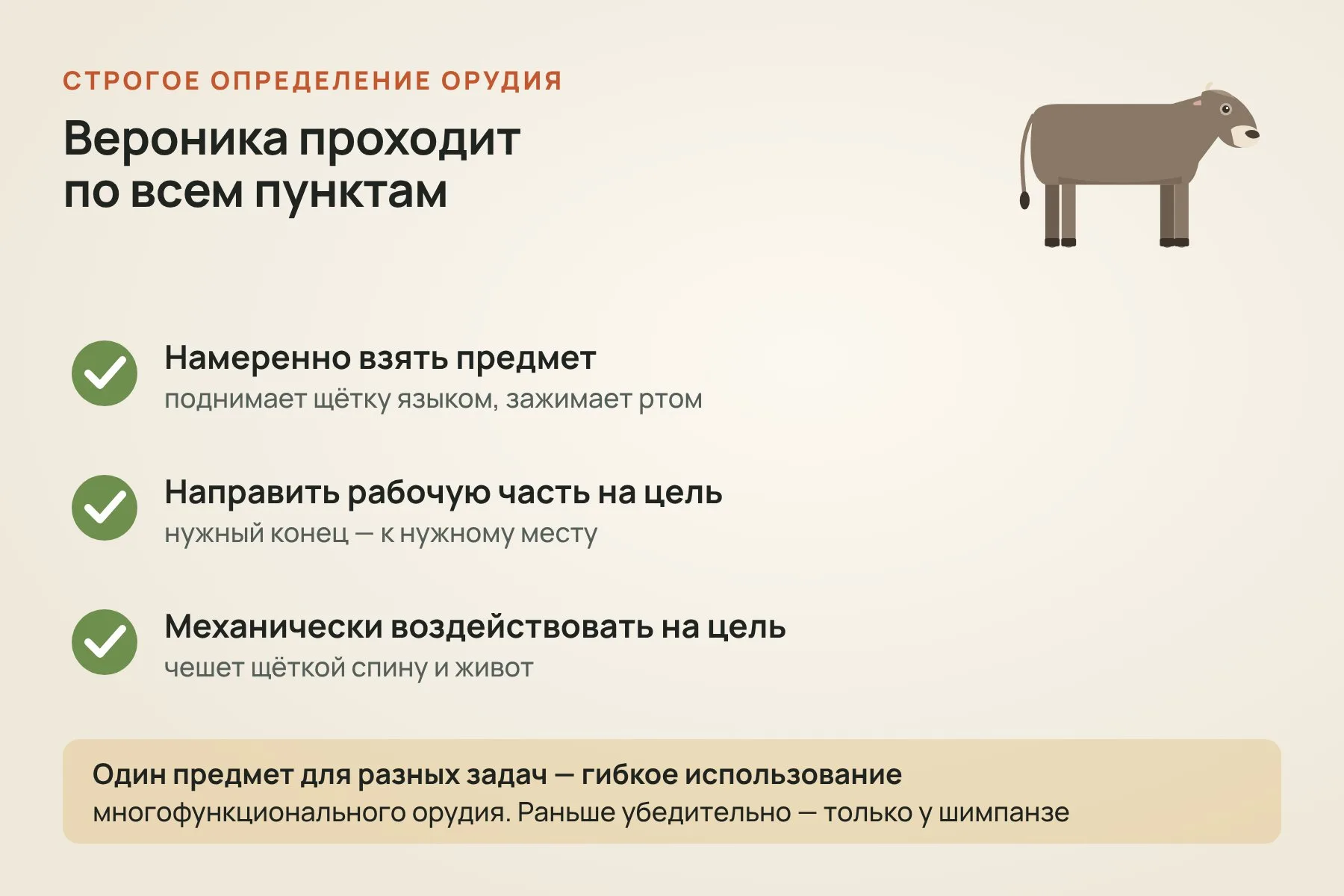 По строгому определению орудия животное должно намеренно взять предмет, направить его рабочую часть на цель и механически воздействовать на неё. Вероника подходит под все три условия. Схема: «Знай с Лобановым» по данным Current Biology