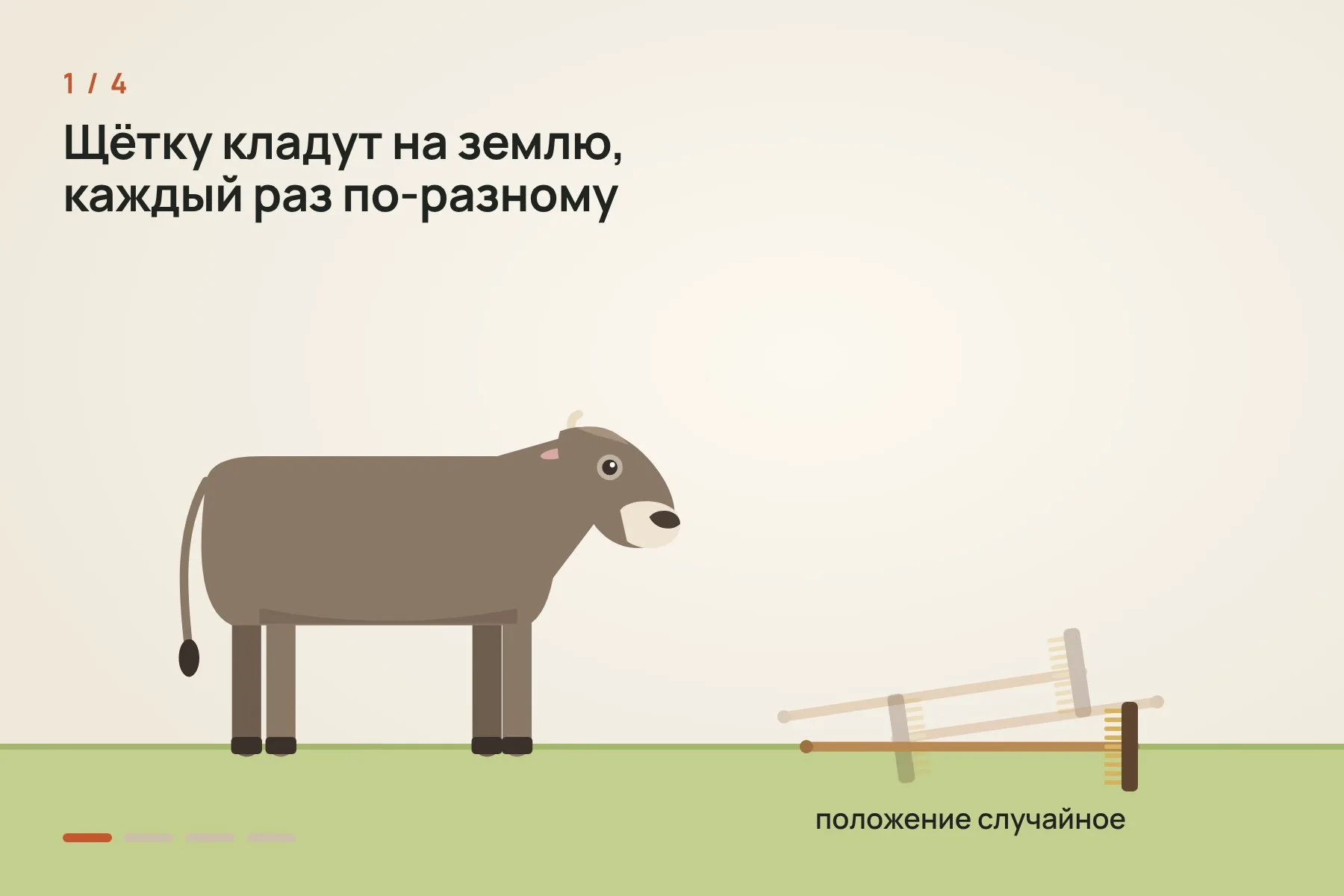 1. Щётку для мытья палубы кладут на землю рядом с Вероникой, каждый раз в случайном положении · 2. Рук у коровы нет: она поднимает щётку языком и зажимает её ртом · 3. Толстокожую спину Вероника чешет щетиной, широкими и сильными движениями · 4. Мягкий и чувствительный живот она чешет гладкой ручкой, медленнее и аккуратнее. Иллюстрация: «Знай с Лобановым» по данным Current Biology — 1 из 4