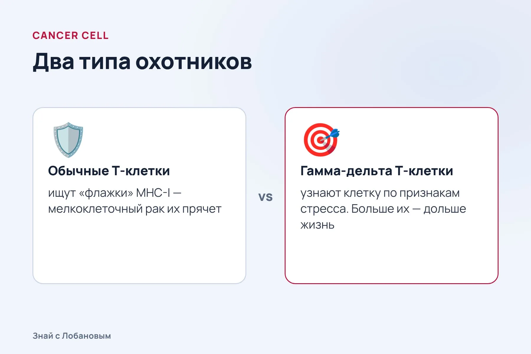 Чем гамма-дельта Т-клетки отличаются от обычных. Схема: «Знай с Лобановым» по данным Cancer Cell