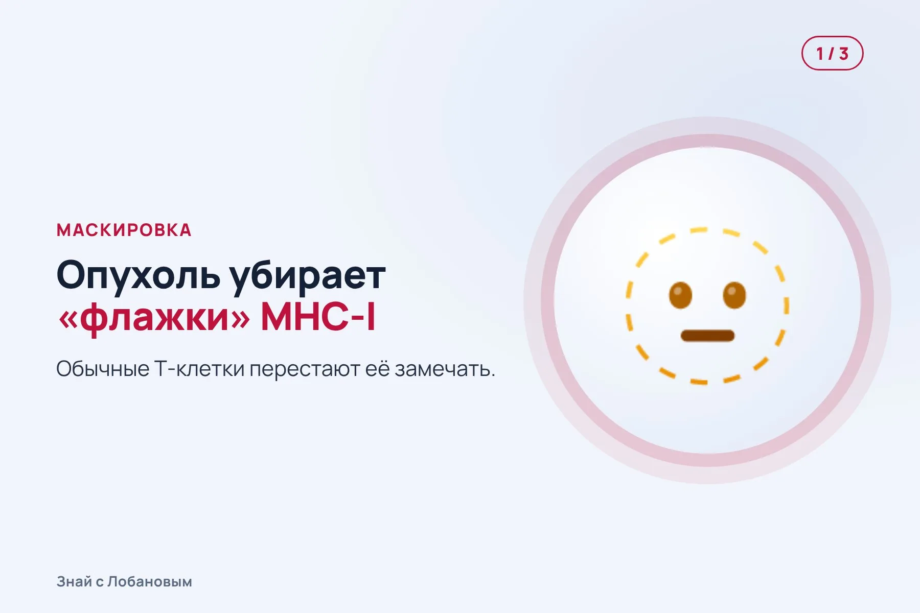 1. Обычные Т-клетки не видят опухоль: она убрала с поверхности «флажки» MHC-I. Иллюстрация: «Знай с Лобановым» по данным Cancer Cell, условно · 2. Гамма-дельта Т-клетки замечают признаки стресса в раковой клетке. Иллюстрация: «Знай с Лобановым» по данным Cancer Cell, условно · 3. Они атакуют и убивают клетки опухоли. Иллюстрация: «Знай с Лобановым» по данным Cancer Cell, условно — 1 из 3