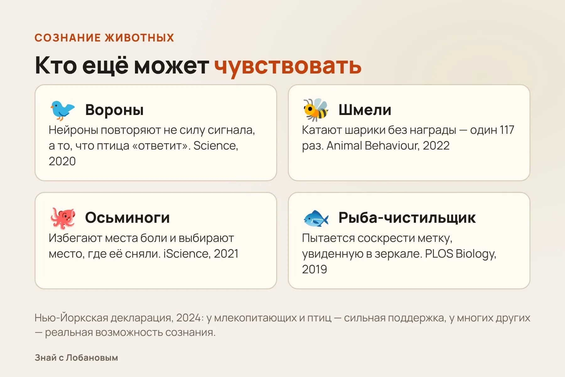 Признаки сознания, которые находят у животных. Схема: «Знай с Лобановым» по данным Science, Animal Behaviour, PLOS Biology, iScience