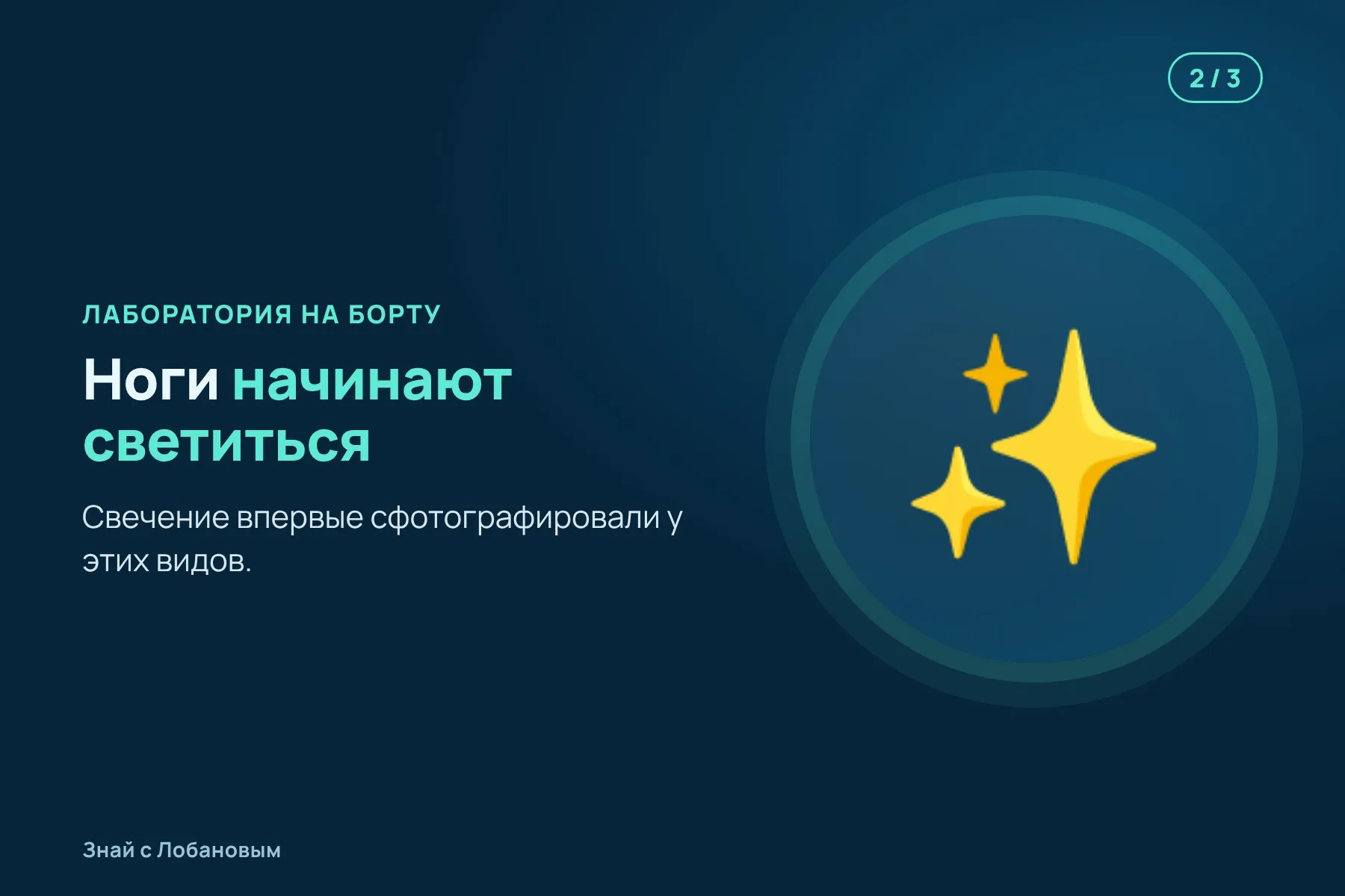 1. 2017 год: пауков поднимают с глубин до 5 километров у берегов Австралии. Иллюстрация: «Знай с Лобановым» по данным Deep Sea Research Part I, условно · 2. В тёмной лаборатории на корабле ноги пауков начинают светиться. Иллюстрация: «Знай с Лобановым» по данным Deep Sea Research Part I, условно · 3. Светятся в основном ноги, ближе к телу свет слабее. Иллюстрация: «Знай с Лобановым» по данным Deep Sea Research Part I, условно — 2 из 3