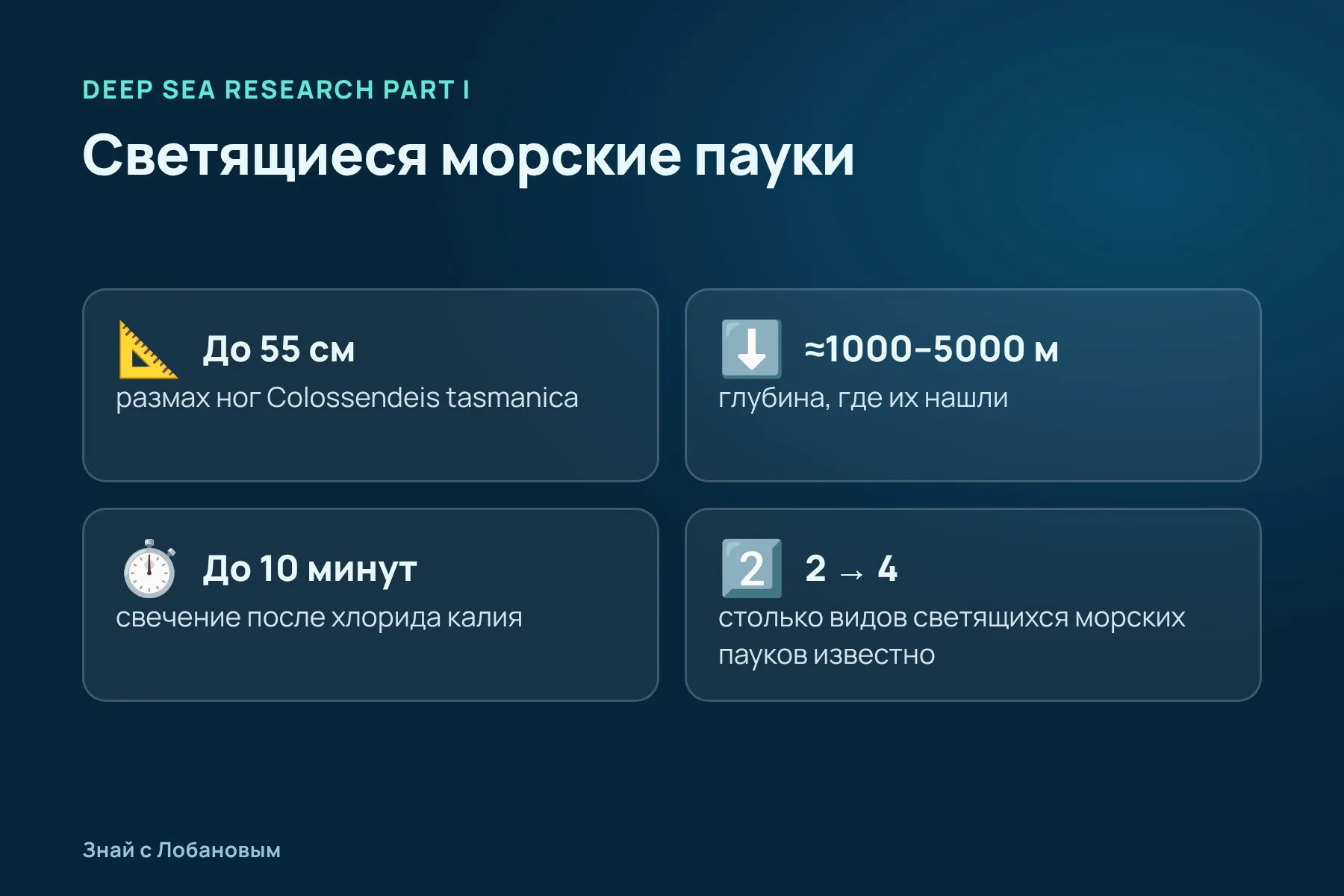 Что известно о светящихся морских пауках. Схема: «Знай с Лобановым» по данным Deep Sea Research Part I