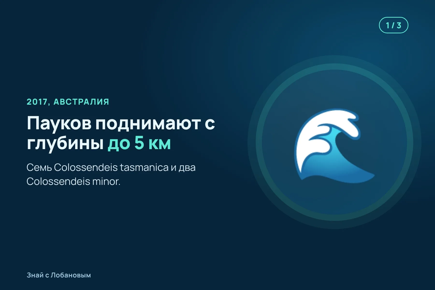 1. 2017 год: пауков поднимают с глубин до 5 километров у берегов Австралии. Иллюстрация: «Знай с Лобановым» по данным Deep Sea Research Part I, условно · 2. В тёмной лаборатории на корабле ноги пауков начинают светиться. Иллюстрация: «Знай с Лобановым» по данным Deep Sea Research Part I, условно · 3. Светятся в основном ноги, ближе к телу свет слабее. Иллюстрация: «Знай с Лобановым» по данным Deep Sea Research Part I, условно — 1 из 3