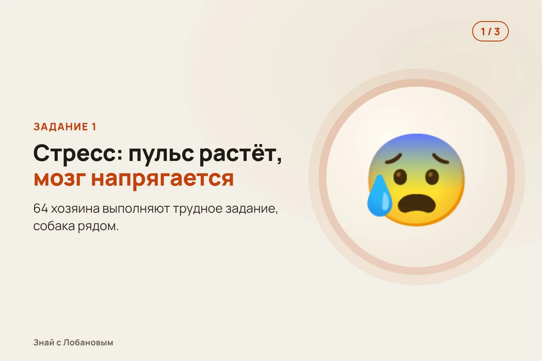 1. Хозяин выполняет стрессовое задание — пульс растёт, мозг «напрягается». Иллюстрация: «Знай с Лобановым» по данным Biological Psychology, условно · 2. Пятиминутный перерыв: одни гладят собаку, у других она рядом, но не дотянуться. Иллюстрация: «Знай с Лобановым» по данным Biological Psychology, условно · 3. Второе задание: те, кто гладил собаку, реагируют на стресс слабее. Иллюстрация: «Знай с Лобановым» по данным Biological Psychology, условно — 1 из 3