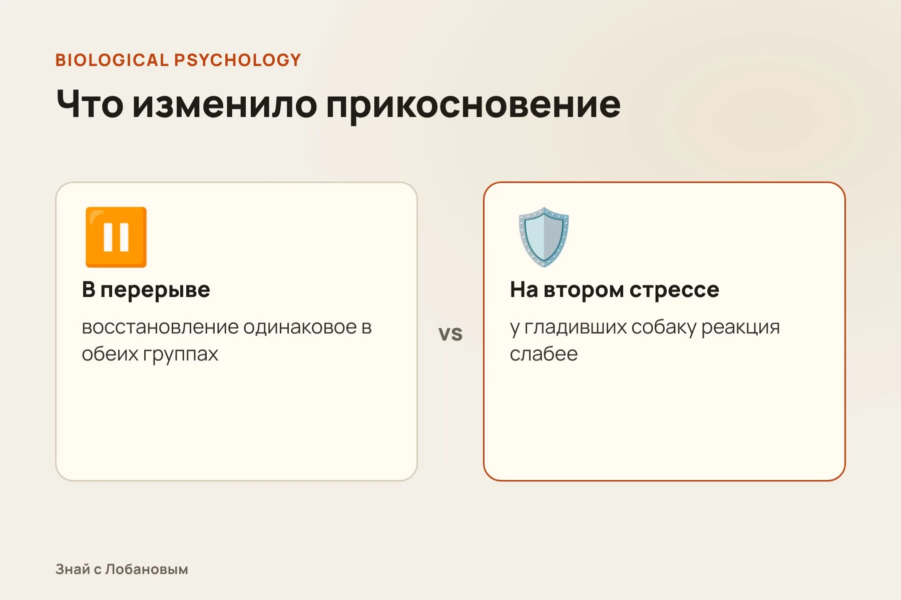 Что изменило прикосновение к собаке. Схема: «Знай с Лобановым» по данным Biological Psychology