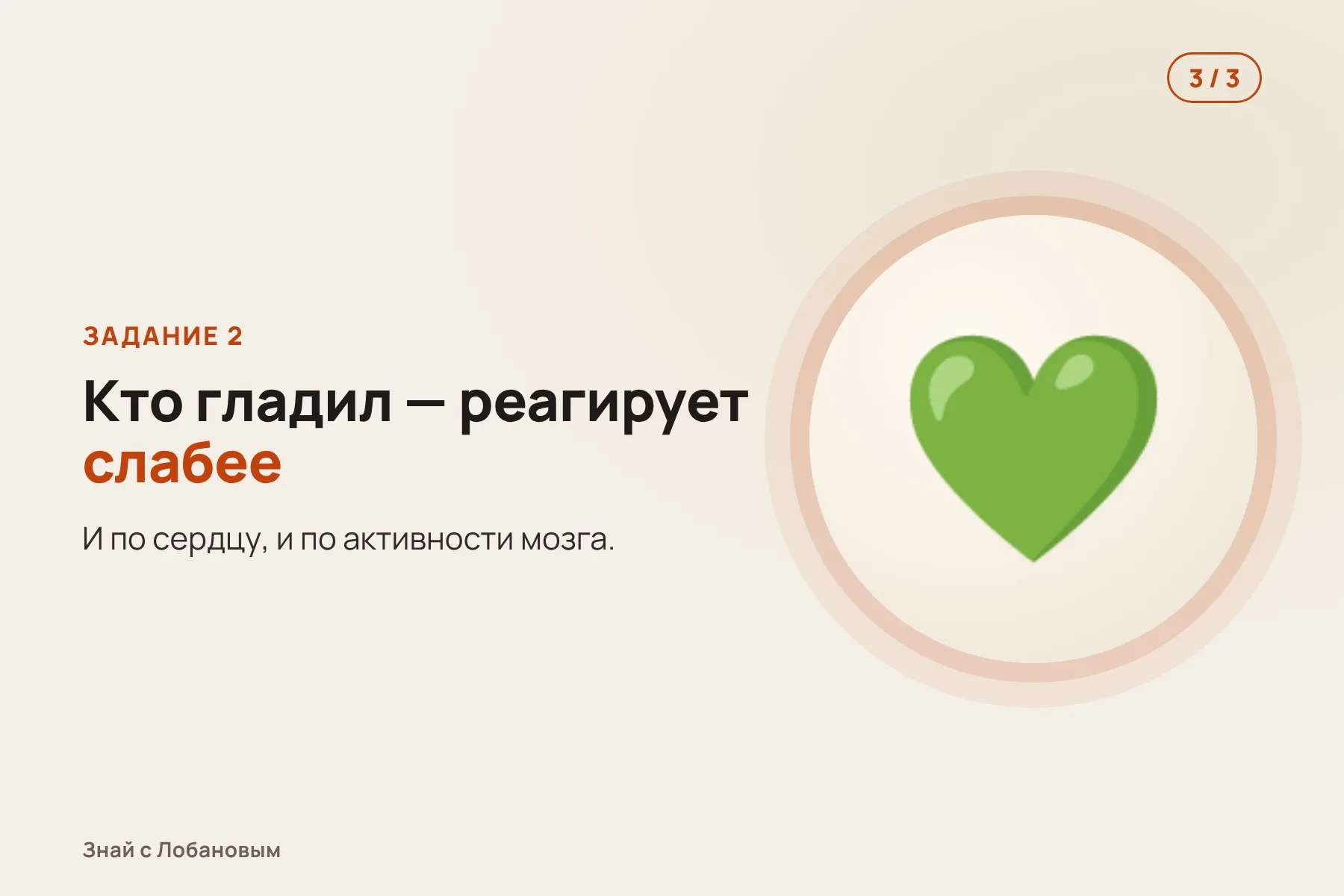 1. Хозяин выполняет стрессовое задание — пульс растёт, мозг «напрягается». Иллюстрация: «Знай с Лобановым» по данным Biological Psychology, условно · 2. Пятиминутный перерыв: одни гладят собаку, у других она рядом, но не дотянуться. Иллюстрация: «Знай с Лобановым» по данным Biological Psychology, условно · 3. Второе задание: те, кто гладил собаку, реагируют на стресс слабее. Иллюстрация: «Знай с Лобановым» по данным Biological Psychology, условно — 3 из 3