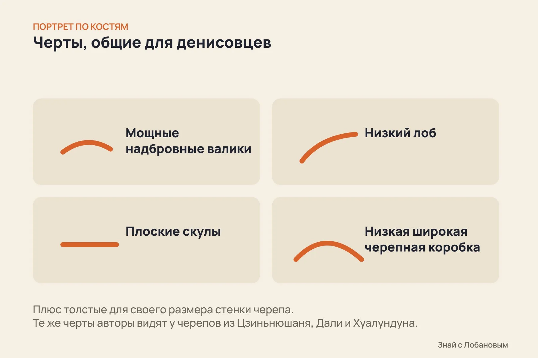 Черты, которые авторы считают общими для денисовцев: мощные надбровные валики, низкий лоб, плоские скулы, низкая широкая черепная коробка с толстыми стенками. Схема: «Знай с Лобановым» по данным Nature, условно