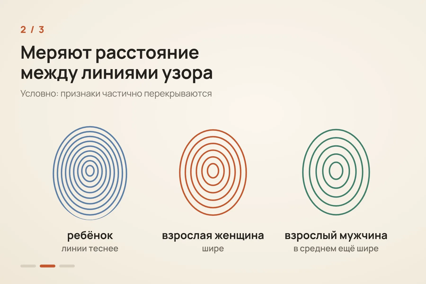 1. Пока глина сырая, пальцы мастера оставляют на ней узор, а обжиг сохраняет его навсегда · 2. Учёные измеряют среднее расстояние между линиями узора: у детей оно меньше, у взрослых мужчин в среднем больше, чем у женщин · 3. Статистическая модель оценивает, какая доля отпечатков могла принадлежать мужчинам, женщинам и детям. Кадр 1 — фотореалистичная ИИ-реконструкция работы с глиной. Кадры 2–3 — исходные схемы по данным Journal of Cultural Heritage. — 2 из 3