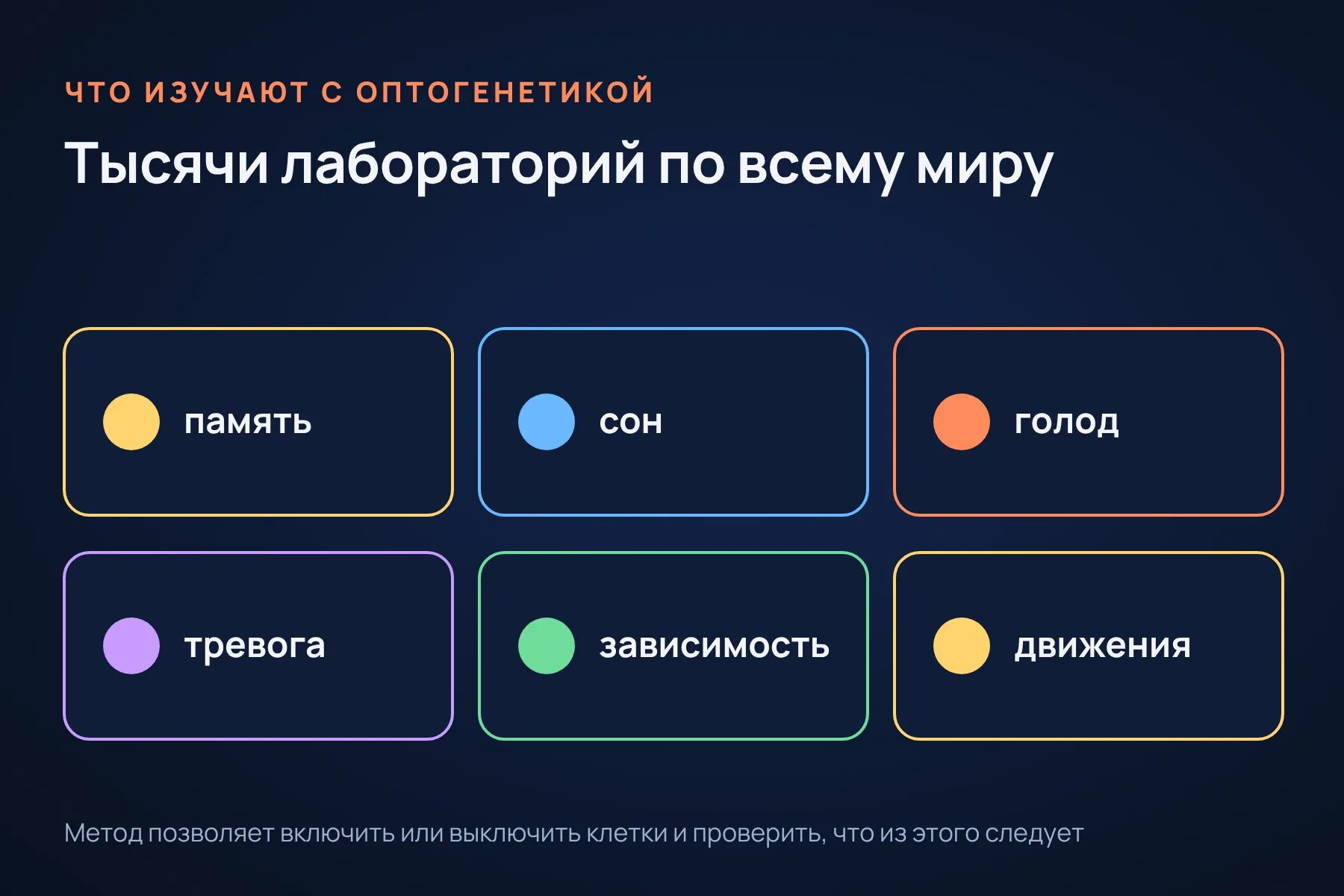 С 2005 года оптогенетика стала одним из главных инструментов нейробиологии: так изучают память, сон, голод, тревогу, зависимость и движения. Схема: «Знай с Лобановым» по данным Нобелевского комитета