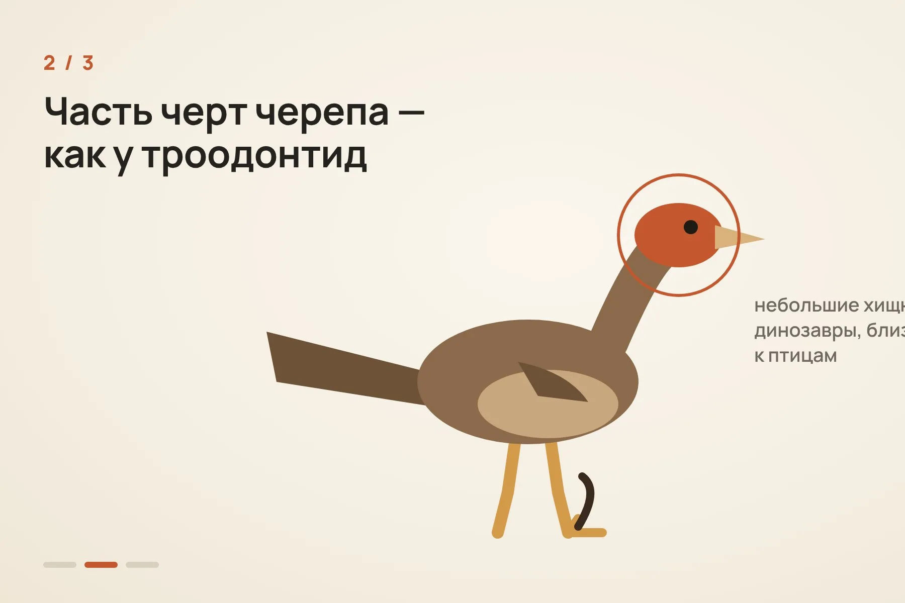 1. Череп и таз — птичьи · 2. Некоторые черты черепа — как у троодонтид, небольших хищных динозавров · 3. На втором пальце ноги — серповидный коготь, как у велоцираптора. Иллюстрация: «Знай с Лобановым» по данным Nature, условно — 2 из 3