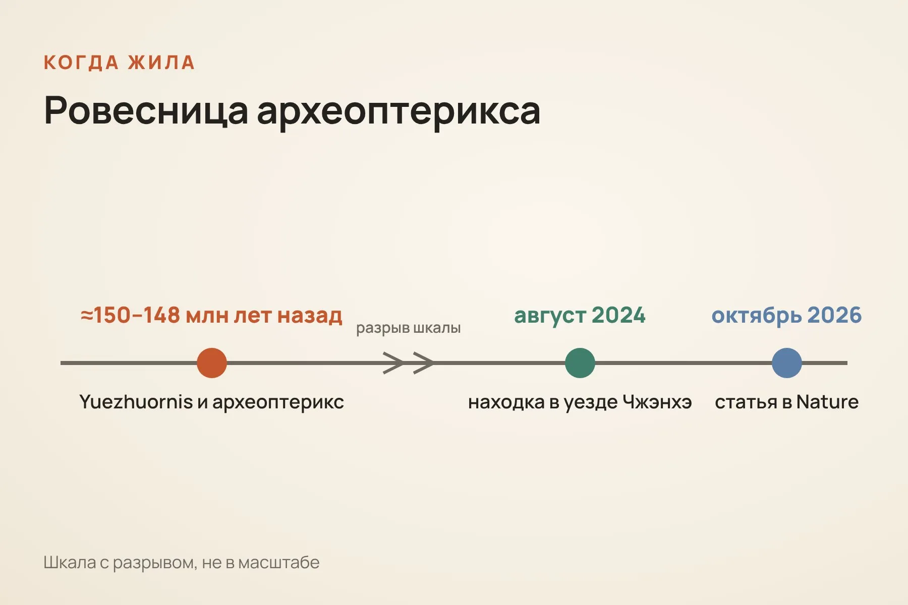 Yuezhuornis жила около 150–148 миллионов лет назад, в одно время с археоптериксом. Нашли её в 2024 году, а описали в Nature в октябре 2026-го. Схема: «Знай с Лобановым» по данным Nature