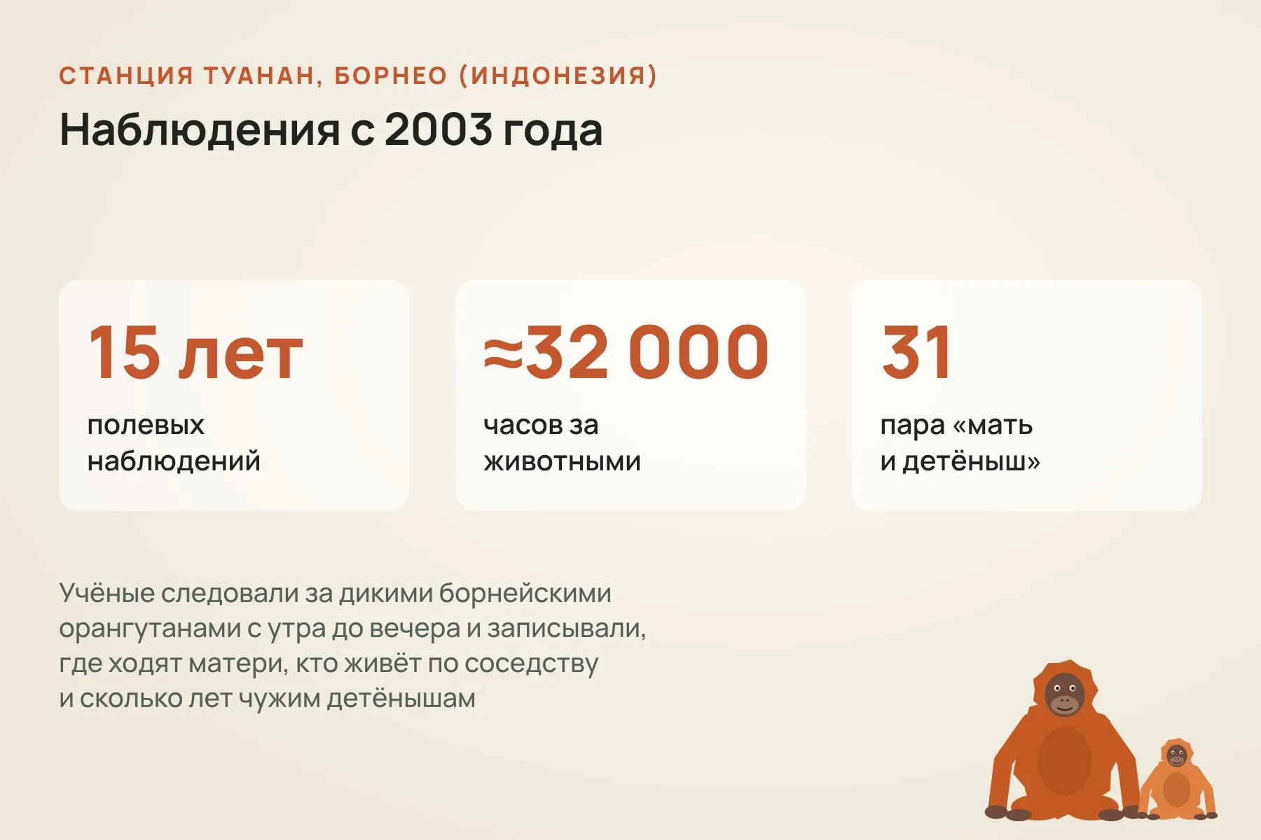За 15 лет на станции Туанан накопилось около 32 тысяч часов наблюдений за 31 парой «мать и детёныш». Схема: «Знай с Лобановым» по данным PNAS