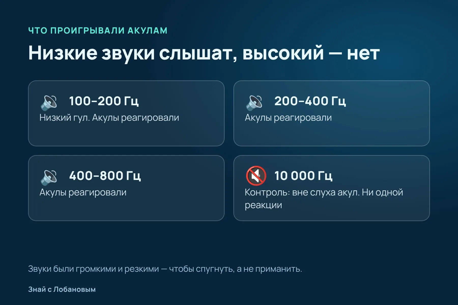 Как черноперые акулы реагировали на звуки разной частоты: низкие — замечали, высокий в 10 000 герц — не слышали совсем. Схема: «Знай с Лобановым» по данным Integrative Organismal Biology