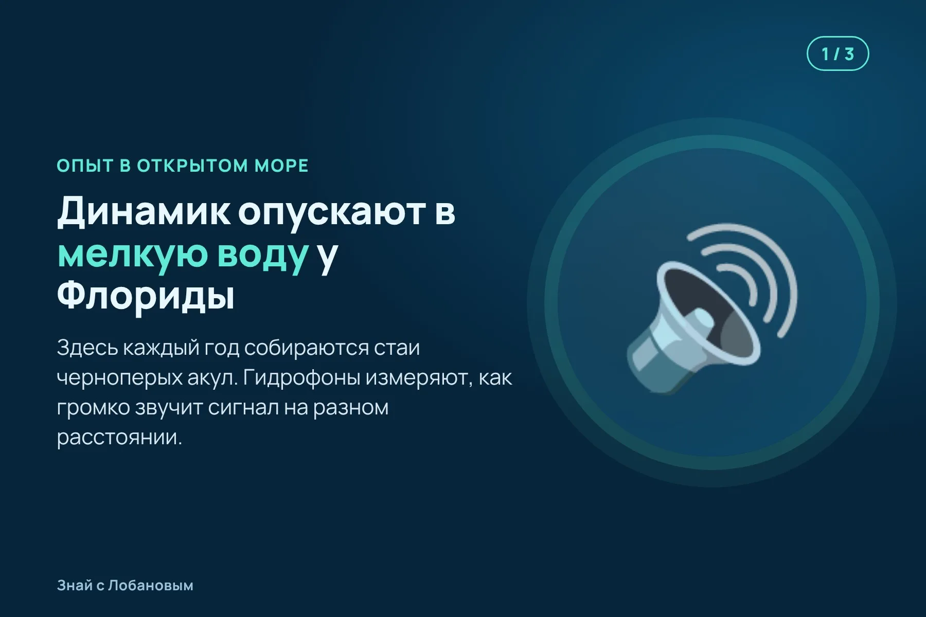 1. В мелкую воду у берегов Флориды опускают подводный динамик. Иллюстрация: «Знай с Лобановым» по данным Integrative Organismal Biology, условно · 2. Динамик проигрывает громкий низкий гул, а дрон сверху снимает, что делают акулы. Иллюстрация: «Знай с Лобановым» по данным Integrative Organismal Biology, условно · 3. Услышав звук, акулы резко разворачиваются и уходят прочь от источника. Иллюстрация: «Знай с Лобановым» по данным Integrative Organismal Biology, условно — 1 из 3