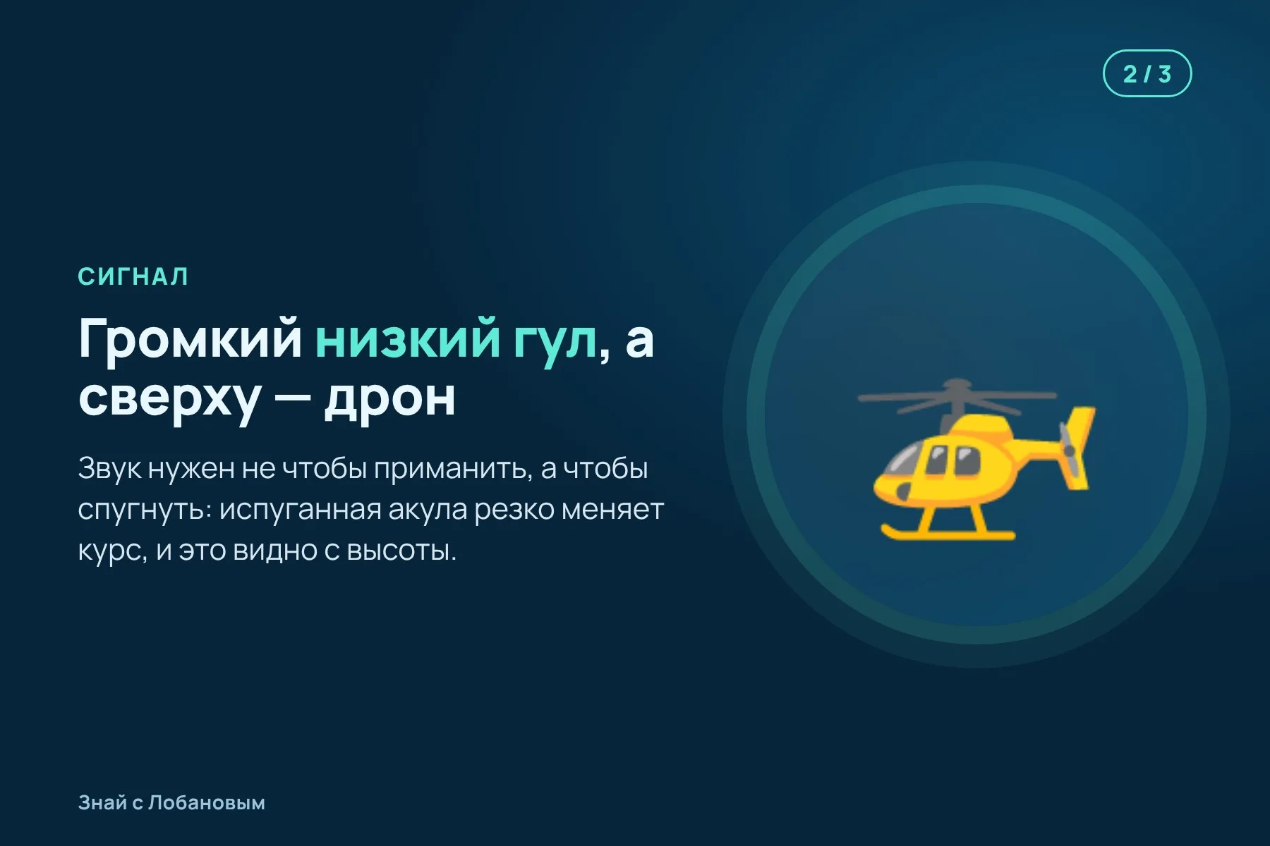 1. В мелкую воду у берегов Флориды опускают подводный динамик. Иллюстрация: «Знай с Лобановым» по данным Integrative Organismal Biology, условно · 2. Динамик проигрывает громкий низкий гул, а дрон сверху снимает, что делают акулы. Иллюстрация: «Знай с Лобановым» по данным Integrative Organismal Biology, условно · 3. Услышав звук, акулы резко разворачиваются и уходят прочь от источника. Иллюстрация: «Знай с Лобановым» по данным Integrative Organismal Biology, условно — 2 из 3