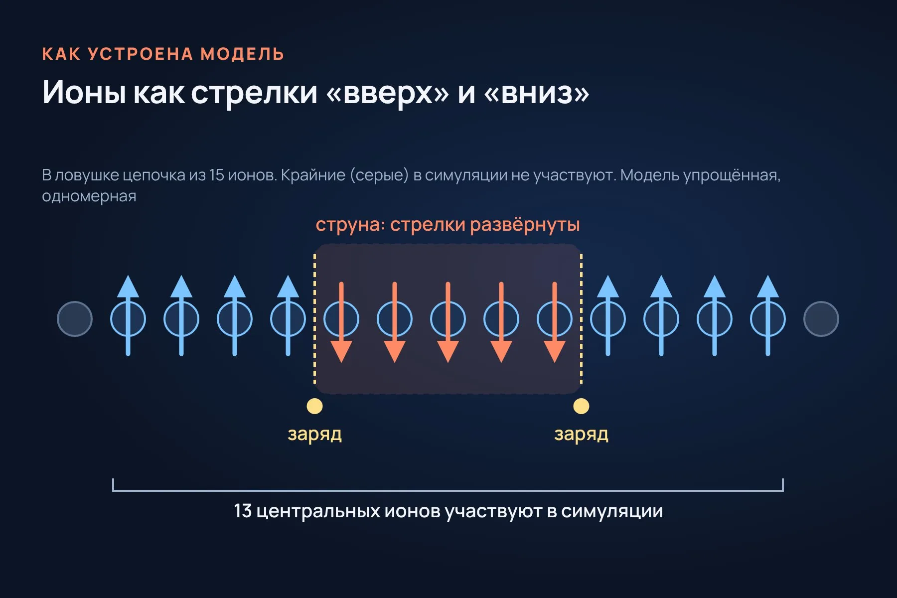 В ловушке 15 ионов, в симуляции участвуют 13 центральных. Заряд — место, где стрелки меняют направление, струна — участок с развёрнутыми стрелками. Схема: «Знай с Лобановым» по данным статьи в Nature Physics