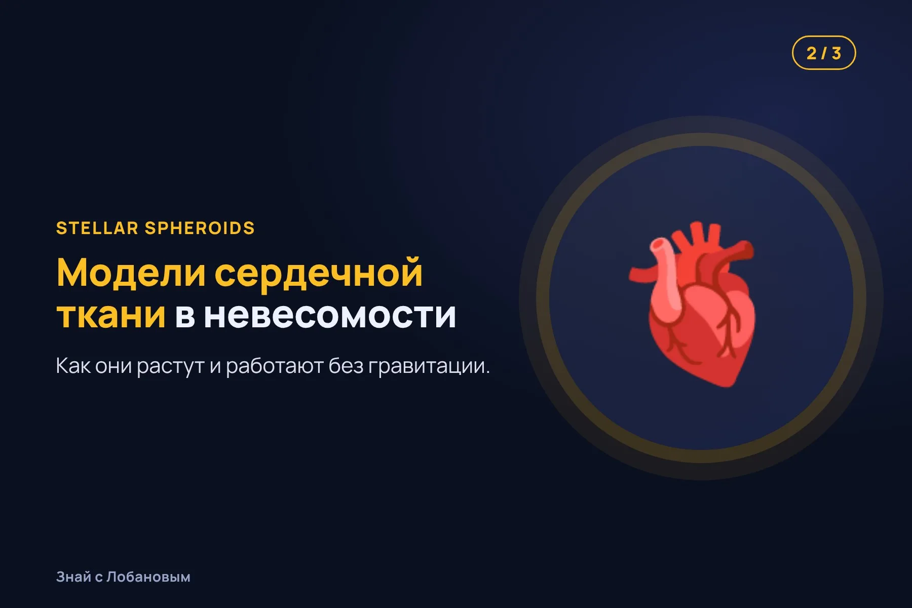 1. Органоиды мозга — крошечные комочки нервных клеток из стволовых клеток человека. Иллюстрация: «Знай с Лобановым» по данным NASA, условно · 2. Трёхмерные модели сердечной ткани проверяют, как сердце меняется в невесомости. Иллюстрация: «Знай с Лобановым» по данным NASA, условно · 3. Искусственную сетчатку собирают из тончайших слоёв, которые в невесомости ложатся ровнее. Иллюстрация: «Знай с Лобановым» по данным NASA, условно — 2 из 3