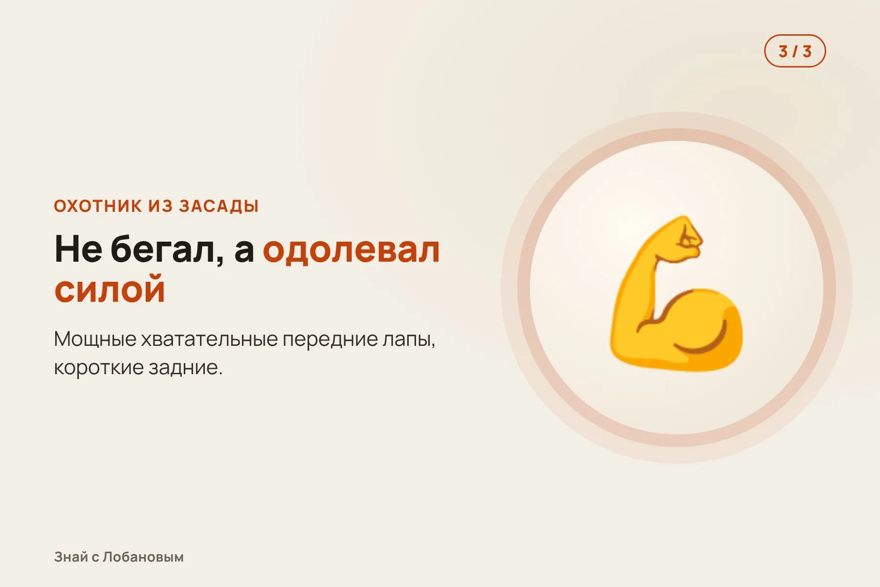 1. 2014 год: кости находят в прибрежном обрыве аргентинской пампы. Иллюстрация: «Знай с Лобановым» по данным Alcheringa, условно · 2. Позвонки и кости лап принадлежат новому хищнику — Pampaluctor calibar. Иллюстрация: «Знай с Лобановым» по данным Alcheringa, условно · 3. Мощный засадный охотник: не догонял добычу, а одолевал силой. Иллюстрация: «Знай с Лобановым» по данным Alcheringa, условно — 3 из 3