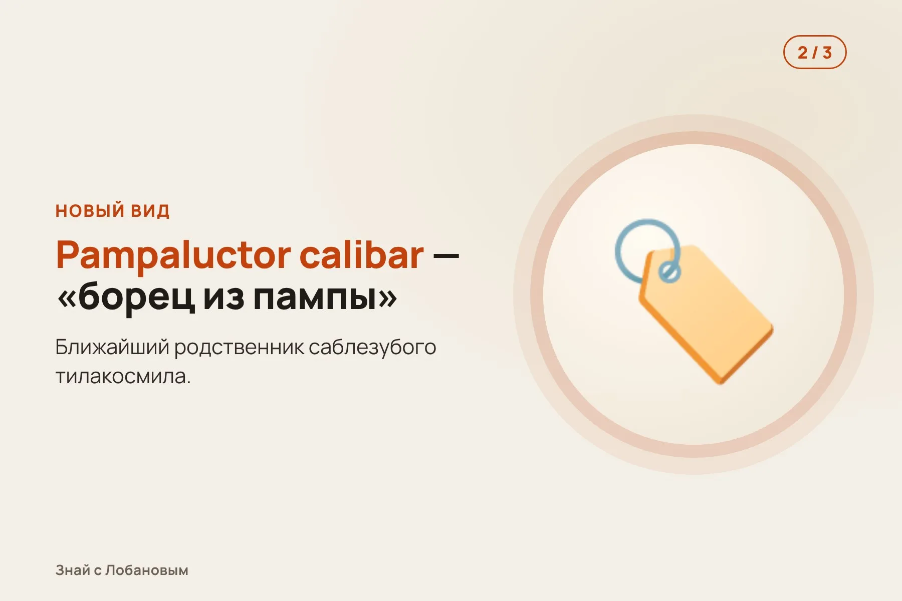 1. 2014 год: кости находят в прибрежном обрыве аргентинской пампы. Иллюстрация: «Знай с Лобановым» по данным Alcheringa, условно · 2. Позвонки и кости лап принадлежат новому хищнику — Pampaluctor calibar. Иллюстрация: «Знай с Лобановым» по данным Alcheringa, условно · 3. Мощный засадный охотник: не догонял добычу, а одолевал силой. Иллюстрация: «Знай с Лобановым» по данным Alcheringa, условно — 2 из 3