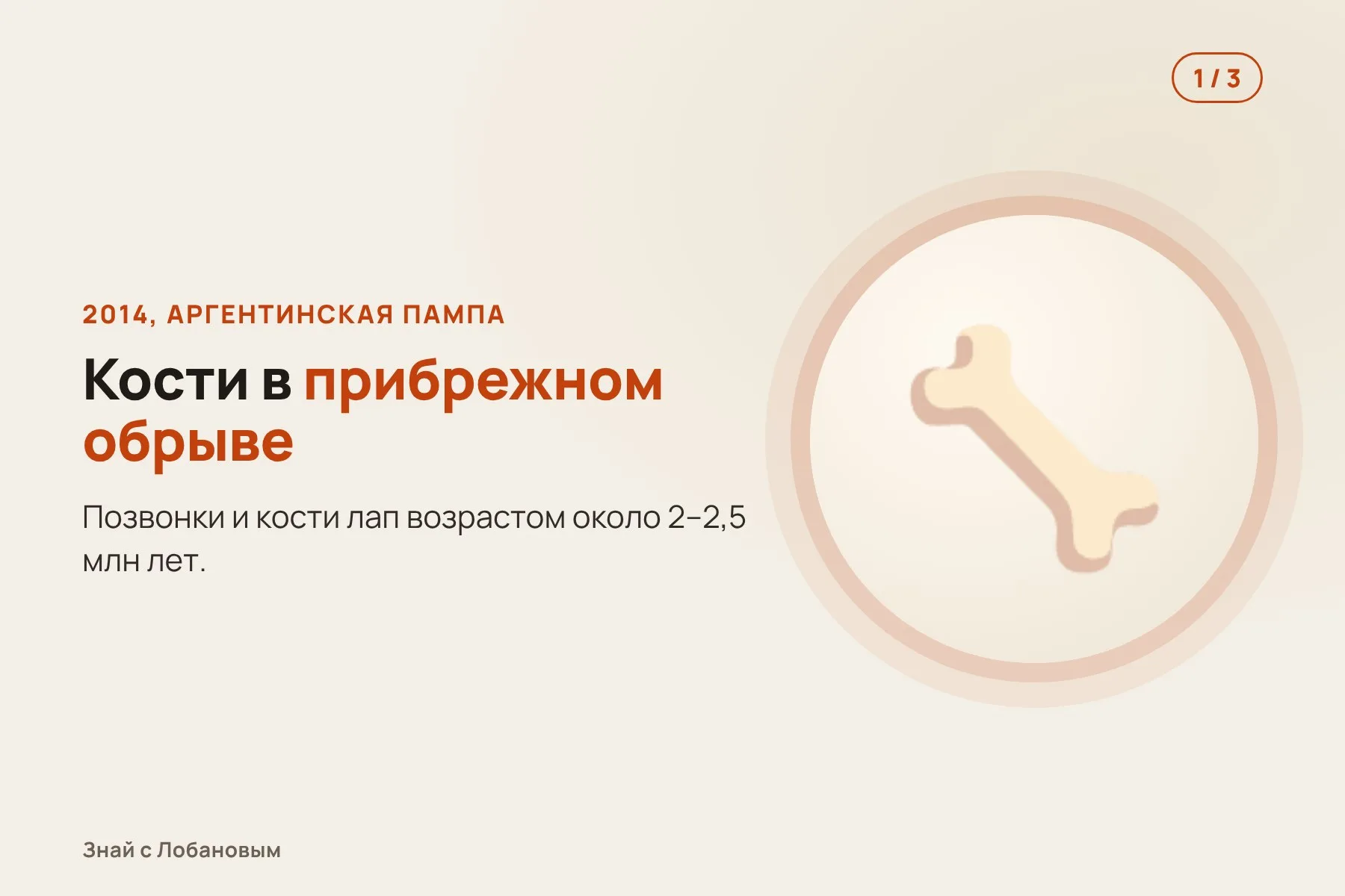 1. 2014 год: кости находят в прибрежном обрыве аргентинской пампы. Иллюстрация: «Знай с Лобановым» по данным Alcheringa, условно · 2. Позвонки и кости лап принадлежат новому хищнику — Pampaluctor calibar. Иллюстрация: «Знай с Лобановым» по данным Alcheringa, условно · 3. Мощный засадный охотник: не догонял добычу, а одолевал силой. Иллюстрация: «Знай с Лобановым» по данным Alcheringa, условно — 1 из 3