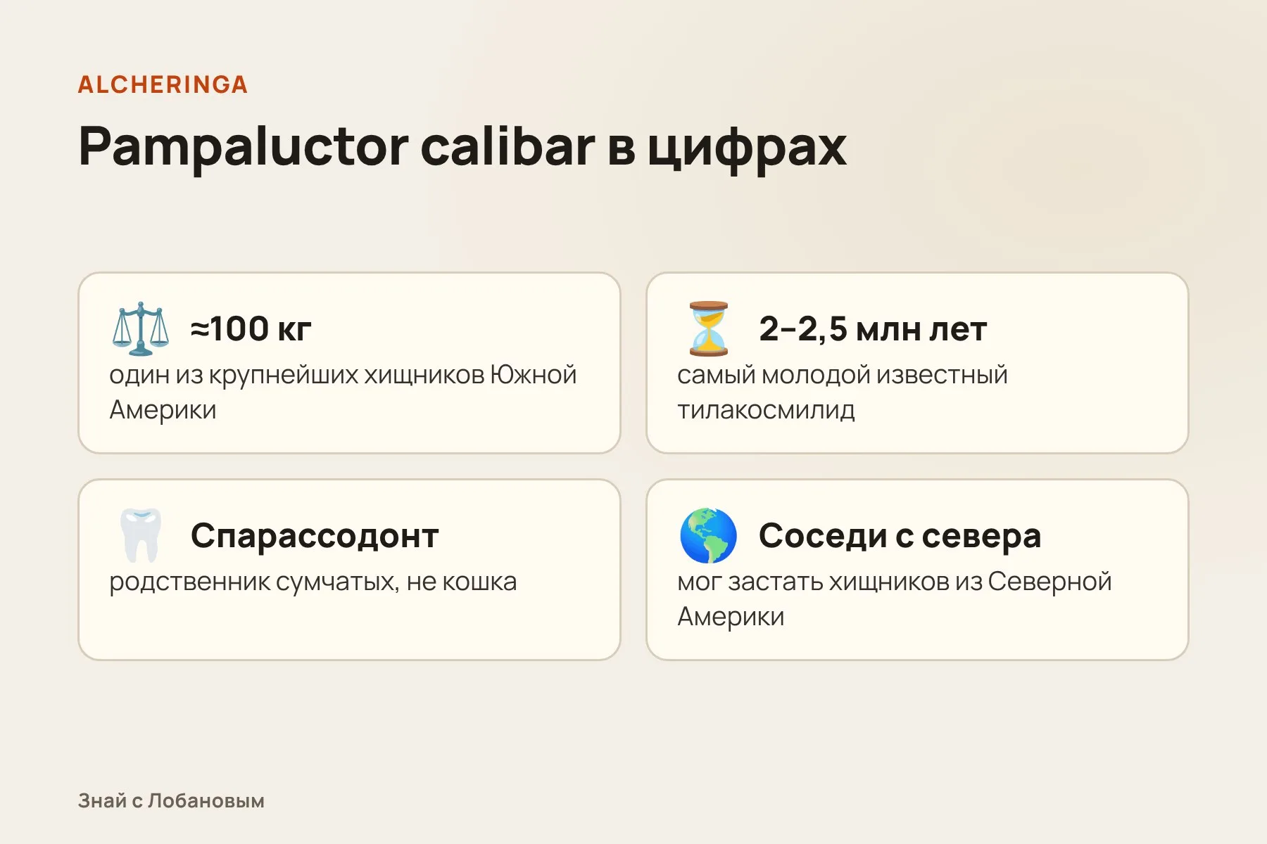 Pampaluctor calibar в цифрах. Схема: «Знай с Лобановым» по данным Alcheringa