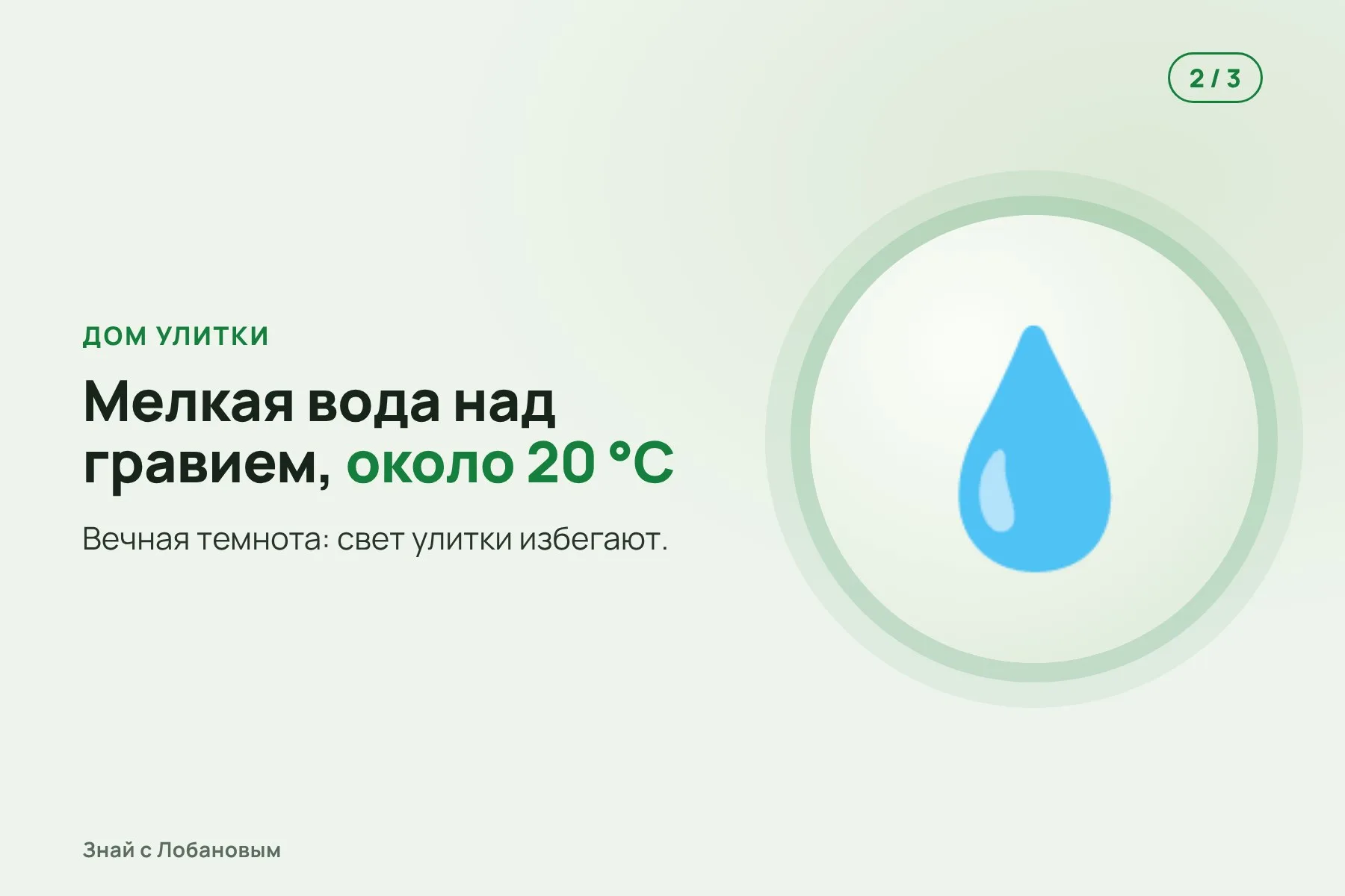 1. Пещера в провинции Юньнань на высоте 2062 метра. Иллюстрация: «Знай с Лобановым» по данным Subterranean Biology, условно · 2. Неглубокая вода над гравием, около 20 °C. Иллюстрация: «Знай с Лобановым» по данным Subterranean Biology, условно · 3. Улитка без глаз с прозрачной раковиной длиной около 2 мм. Иллюстрация: «Знай с Лобановым» по данным Subterranean Biology, условно — 2 из 3