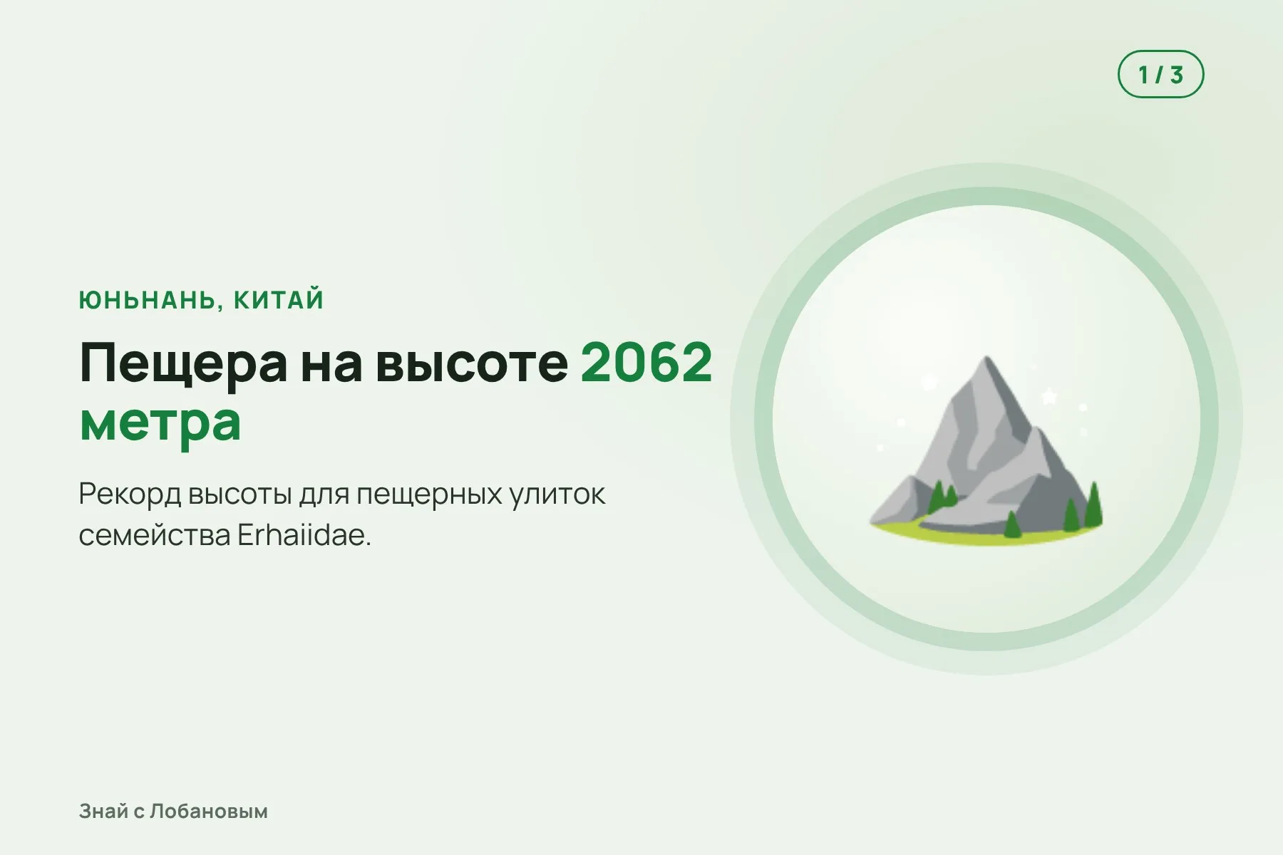 1. Пещера в провинции Юньнань на высоте 2062 метра. Иллюстрация: «Знай с Лобановым» по данным Subterranean Biology, условно · 2. Неглубокая вода над гравием, около 20 °C. Иллюстрация: «Знай с Лобановым» по данным Subterranean Biology, условно · 3. Улитка без глаз с прозрачной раковиной длиной около 2 мм. Иллюстрация: «Знай с Лобановым» по данным Subterranean Biology, условно — 1 из 3