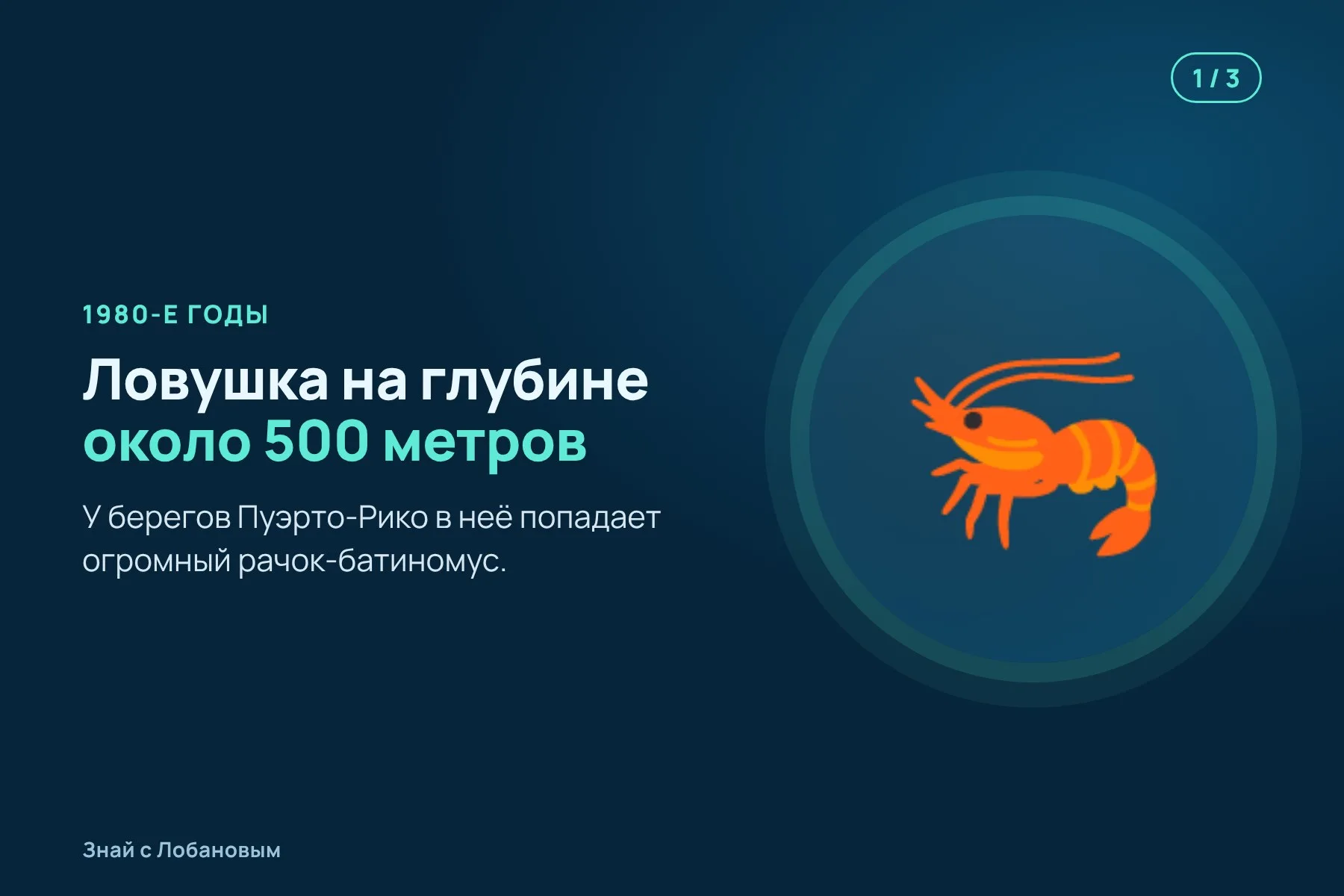 1. 1980-е: у Пуэрто-Рико на глубине около 500 метров в ловушку попадает гигантский рачок. Иллюстрация: «Знай с Лобановым» по данным Scientific Reports, условно · 2. Десятилетия он хранится в Тюбингене под именем Bathynomus giganteus. Иллюстрация: «Знай с Лобановым» по данным Scientific Reports, условно · 3. 2026: томография и сравнение показывают, что это новый вид. Иллюстрация: «Знай с Лобановым» по данным Scientific Reports, условно — 1 из 3