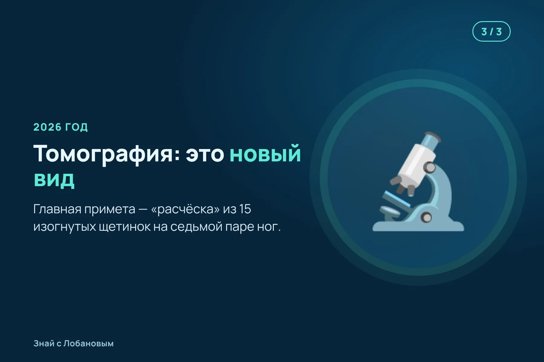 1. 1980-е: у Пуэрто-Рико на глубине около 500 метров в ловушку попадает гигантский рачок. Иллюстрация: «Знай с Лобановым» по данным Scientific Reports, условно · 2. Десятилетия он хранится в Тюбингене под именем Bathynomus giganteus. Иллюстрация: «Знай с Лобановым» по данным Scientific Reports, условно · 3. 2026: томография и сравнение показывают, что это новый вид. Иллюстрация: «Знай с Лобановым» по данным Scientific Reports, условно — 3 из 3