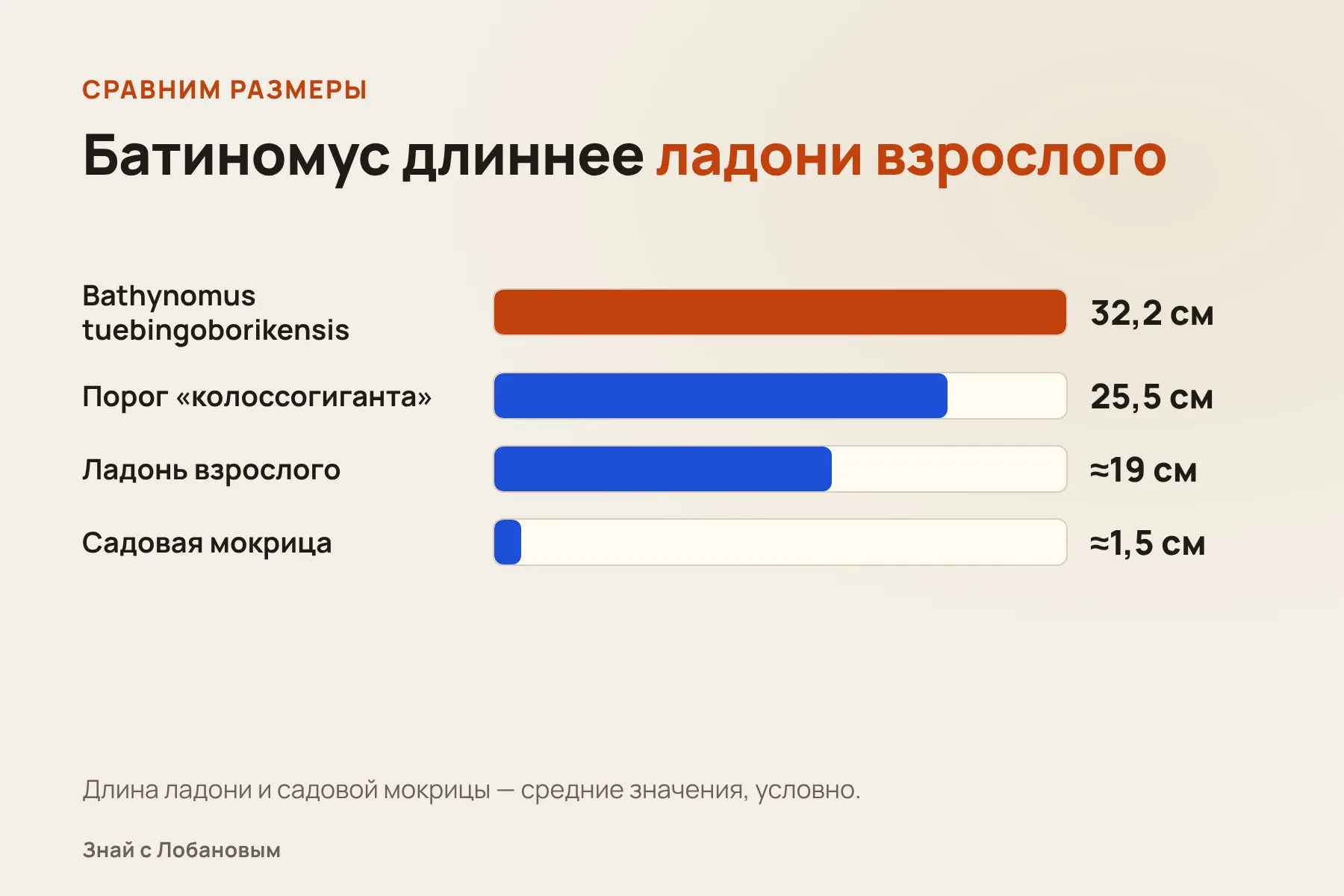 Размер нового батиномуса рядом с ладонью человека и обычной садовой мокрицей. Иллюстрация: «Знай с Лобановым» по данным Scientific Reports, условно